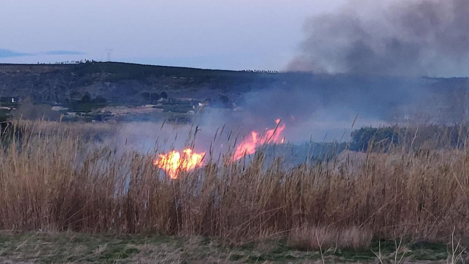 Extingit l’incendi forestal d'Antella