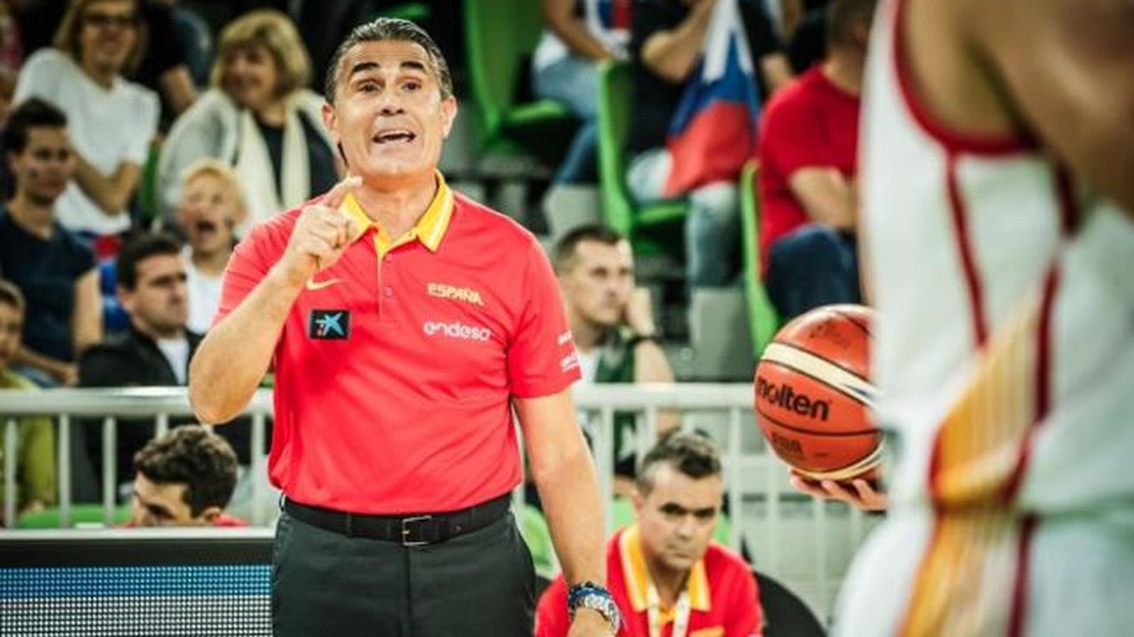 El seleccionador espanyol, Scariolo, és l'entrenador d'un equip d'Eurolliga, la Virtus de Bologna