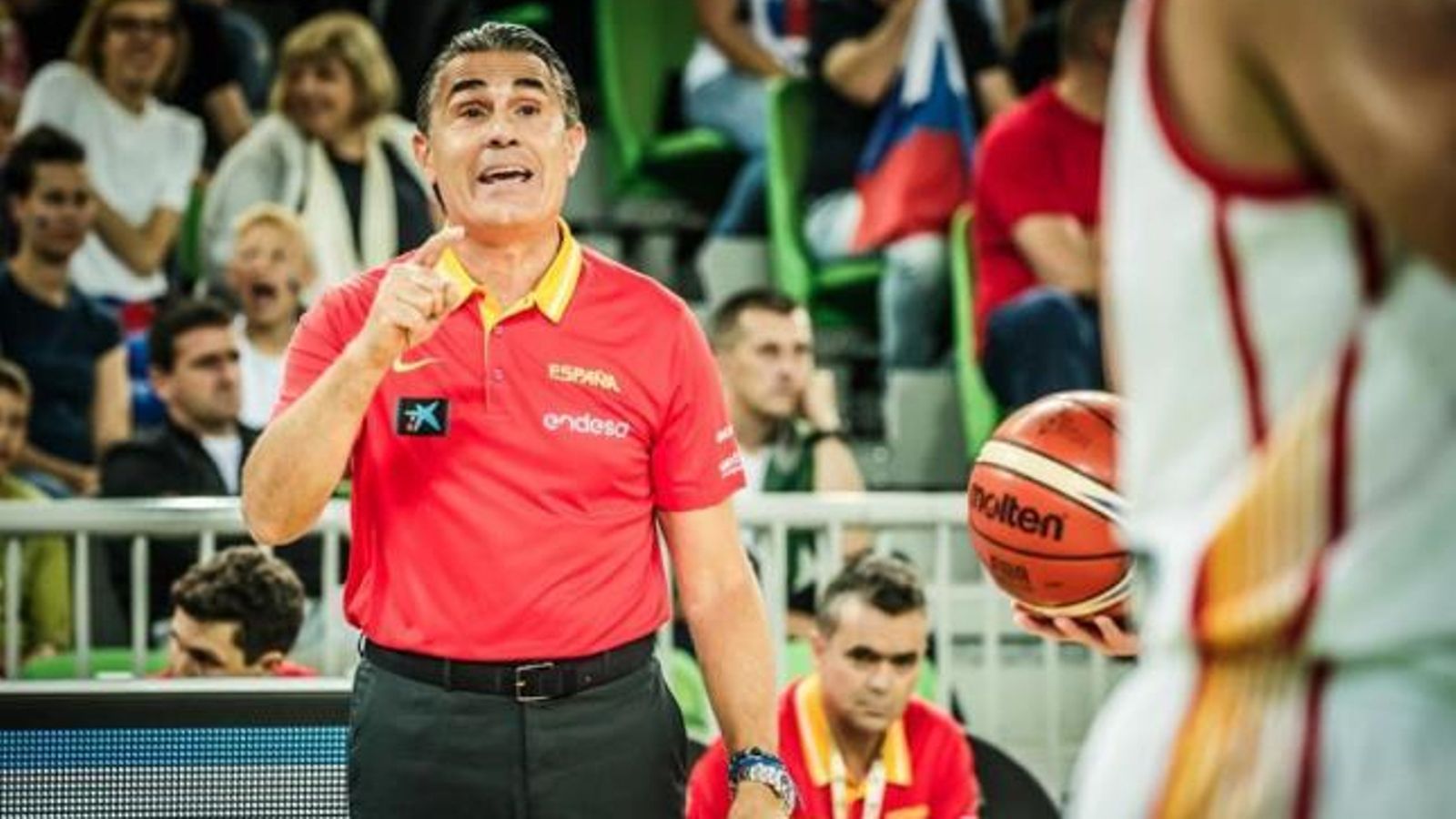 El seleccionador espanyol, Scariolo, és l'entrenador d'un equip d'Eurolliga, la Virtus de Bologna