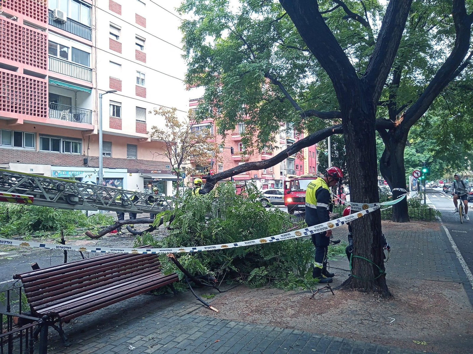 Servei dels bombers de València pel trencament d'un arbre