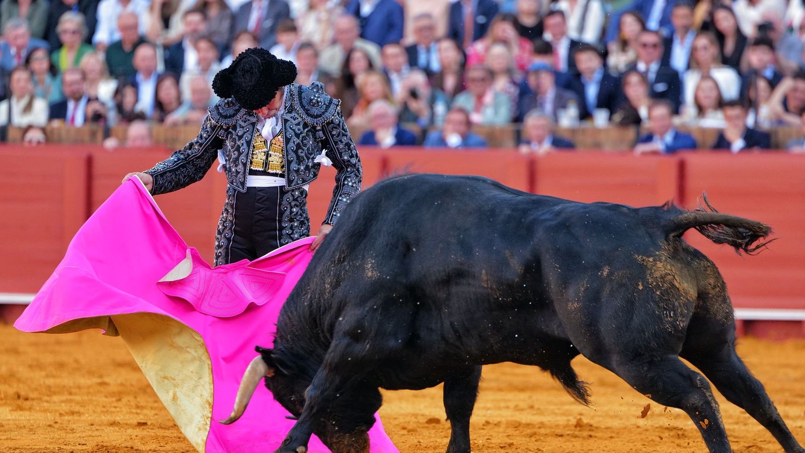 Morante de la Puebla tornarà a omplir la plaça de bous sevillana
