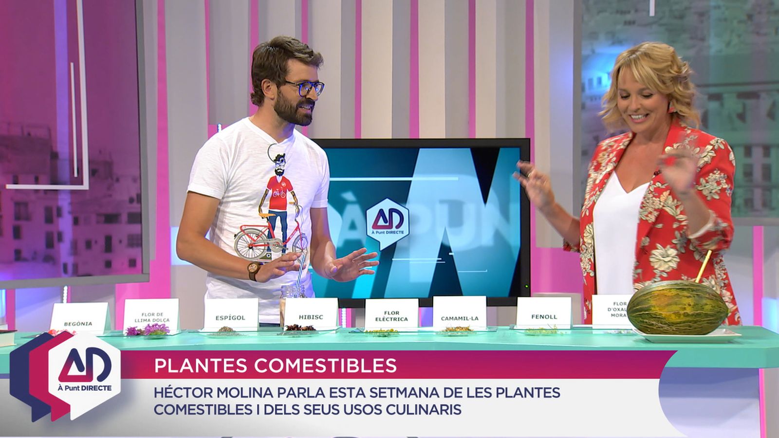 Plantes comestibles