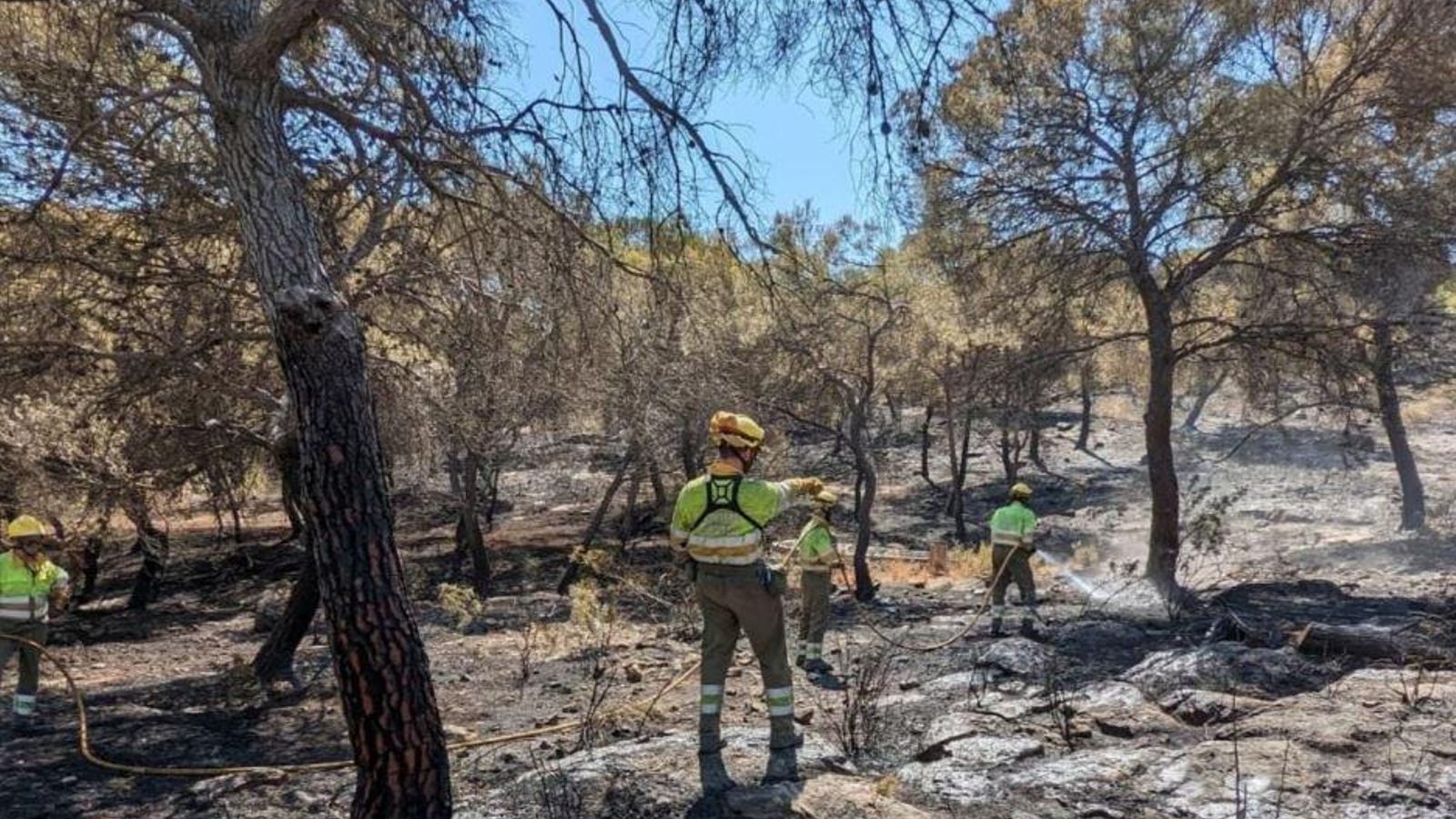 Efectius de bombers treballen refrescant possibles punts calents i assegurant el perímetre de l'incendi a Albalat dels Tarongers.