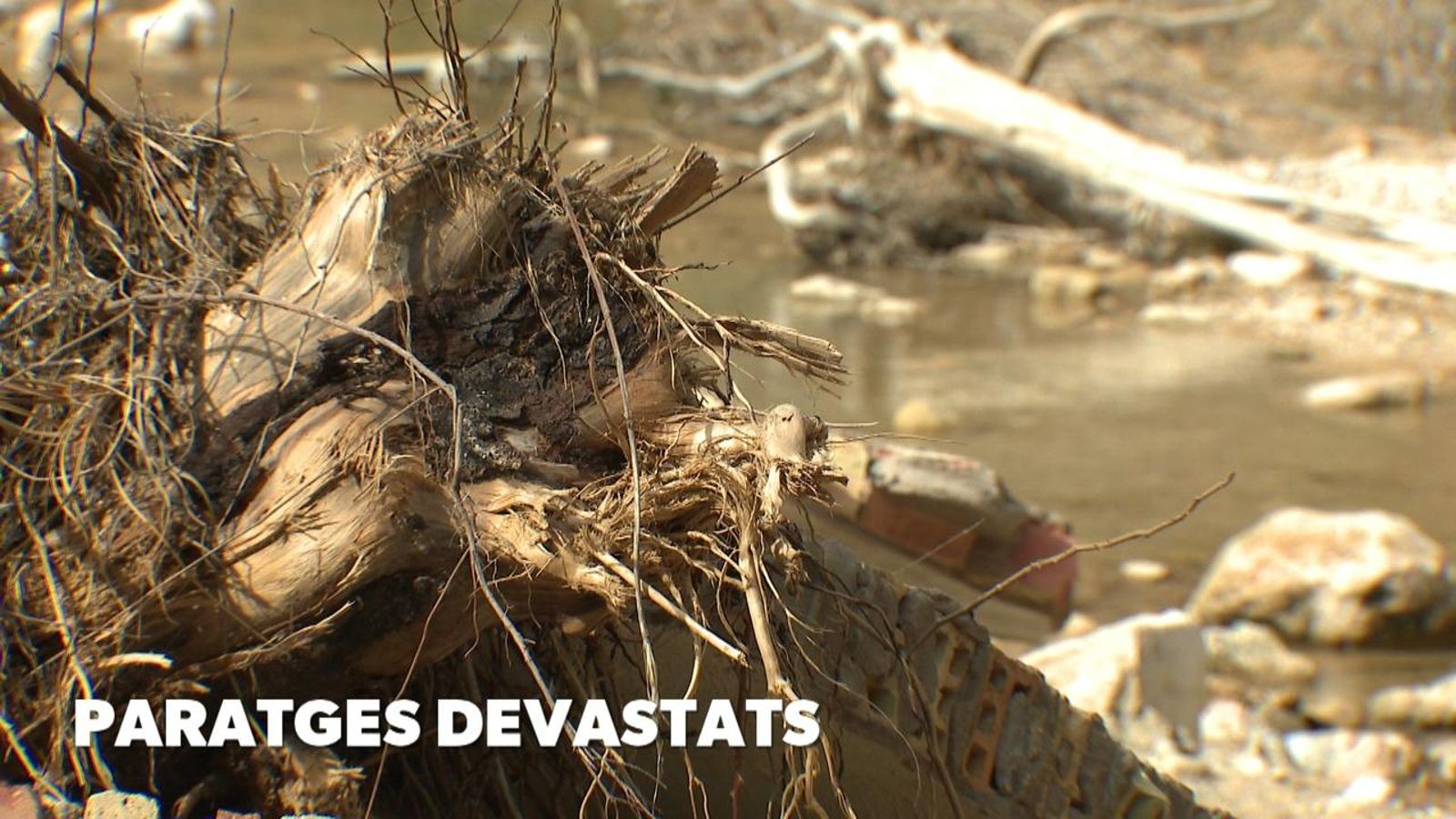 Paratges devastats a Bunyol