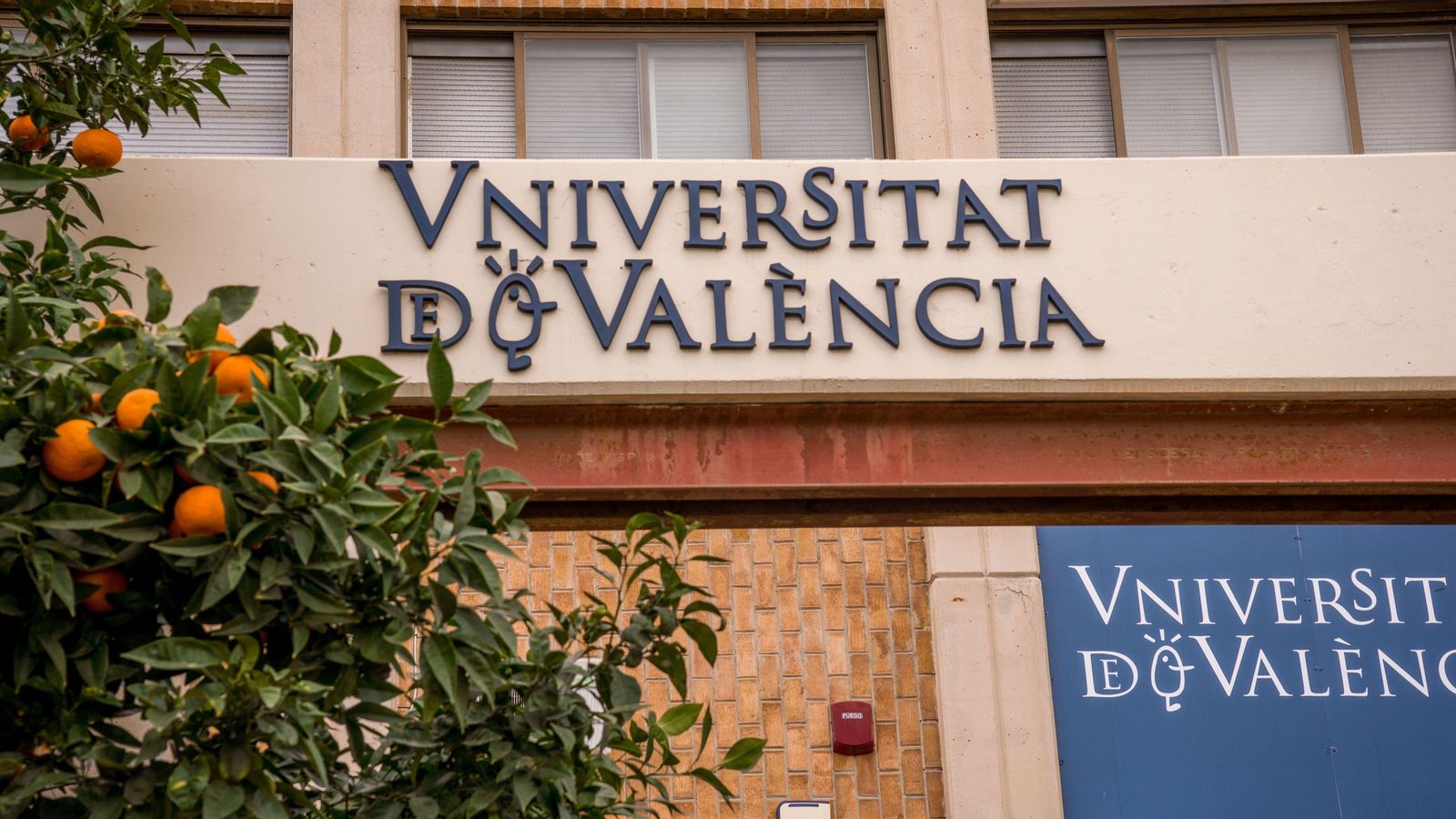 Un estudi del projecte uniHcos, en què participa la UV, detecta una alta taxa de persistència en el consum d’alcohol entre els universitaris