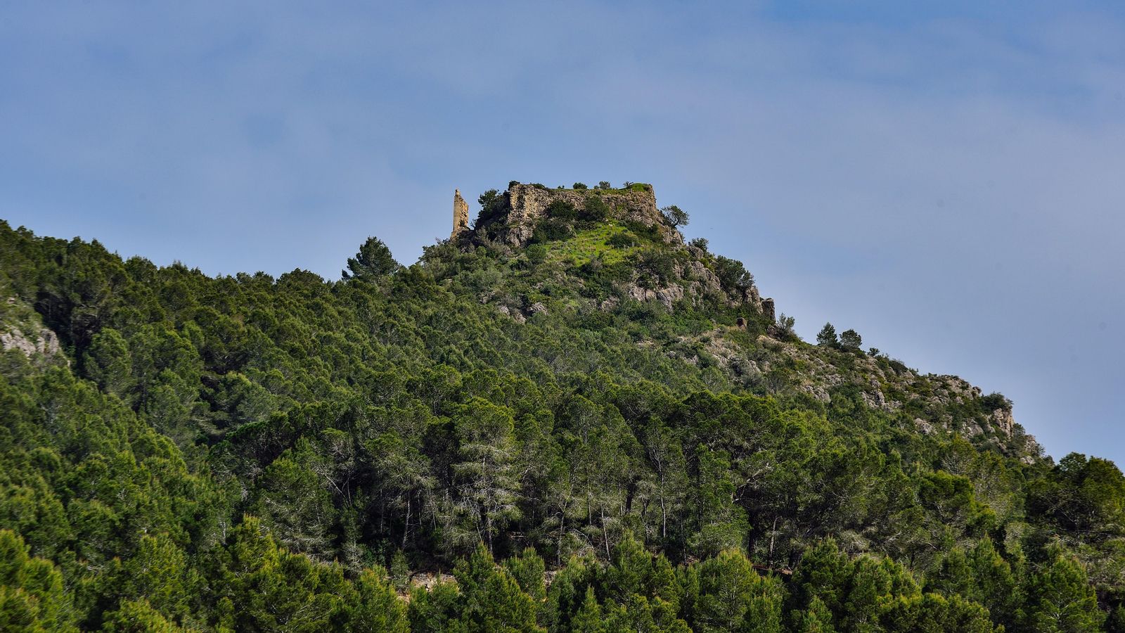 Castell de Palma, Alfauir