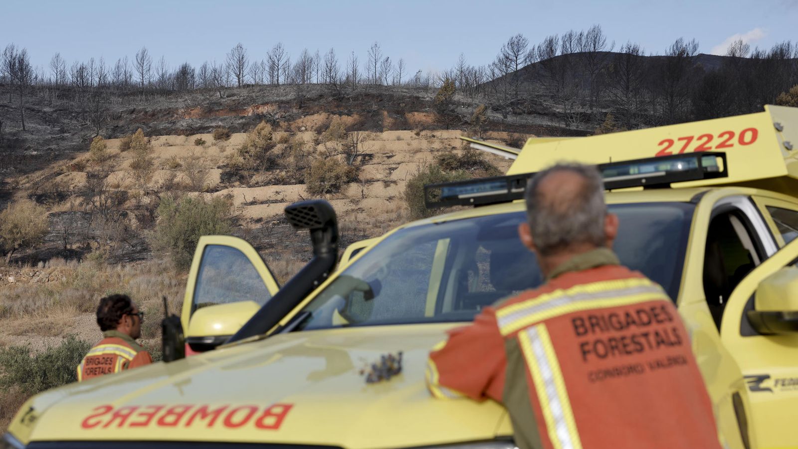 Paratge cremat a la serra de la Calderona en l'últim incendi, declarat dijous passat