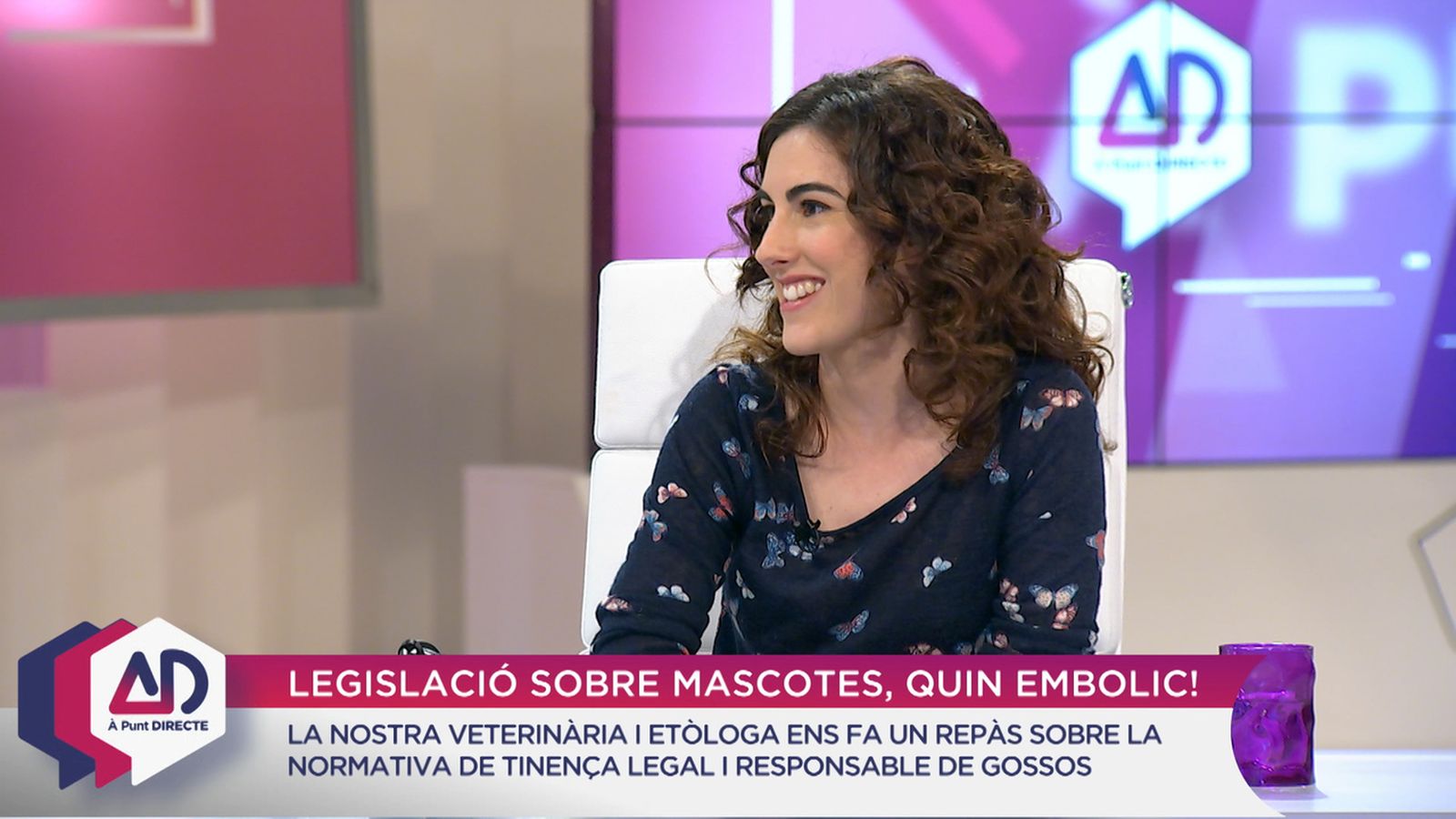 Gossos al servei de la ciutadania