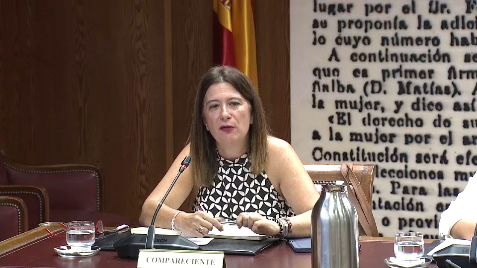 L'exmilitant socialista Leire Díez compareix al Senat