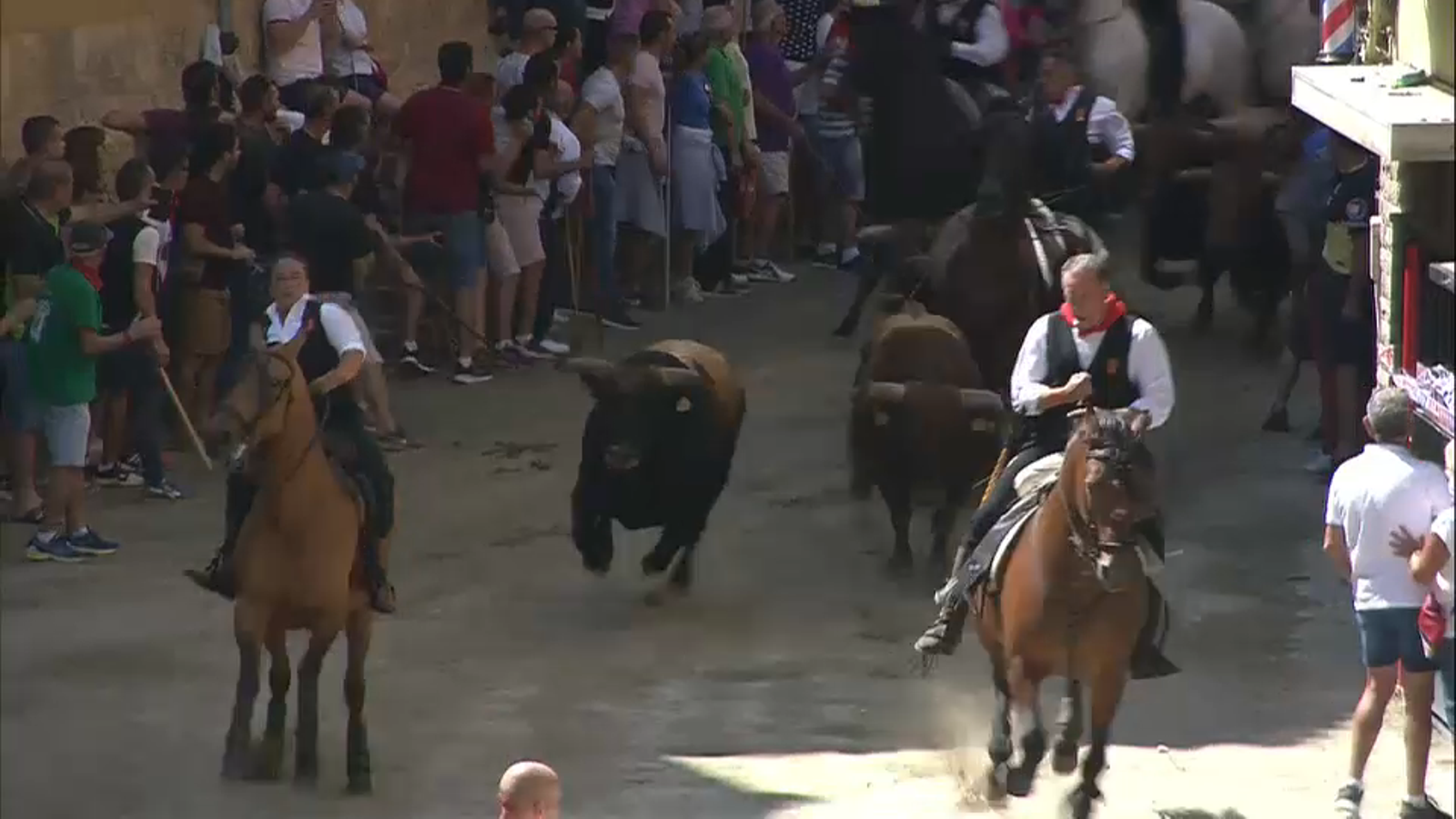 VÍDEO | Segona Entrada de Bous i Cavalls de Sogorb