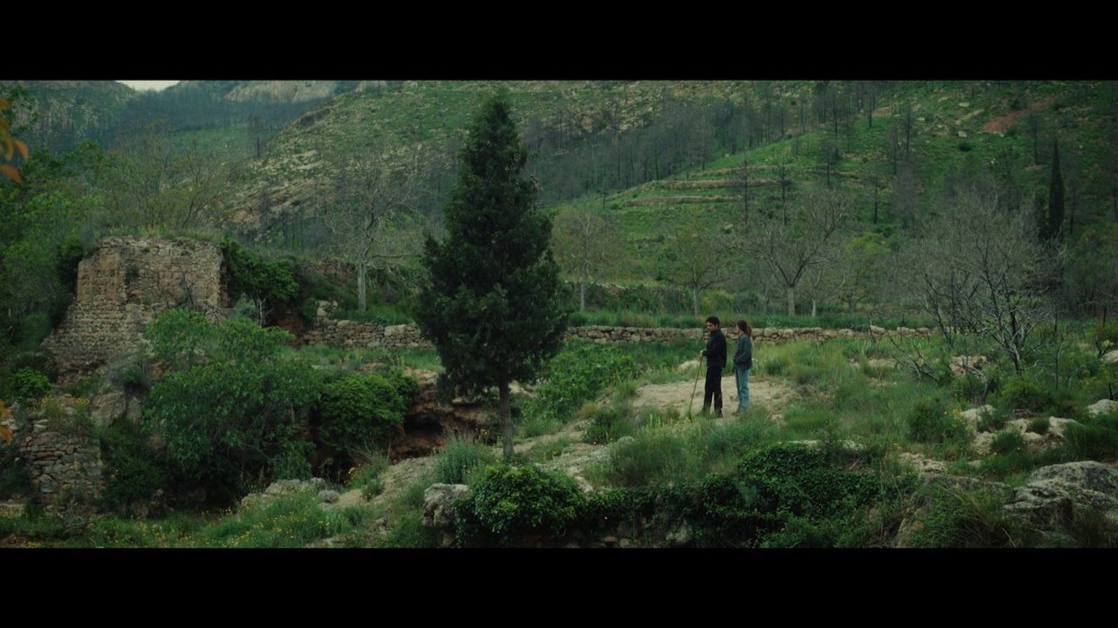 'Eixam', del cineasta valencià Óscar Bernàcer, arriba als cinemes este divendres.