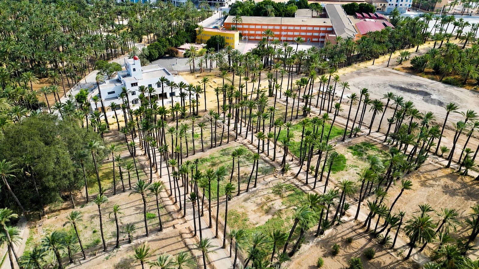 L'Hort del Gat, a Elx