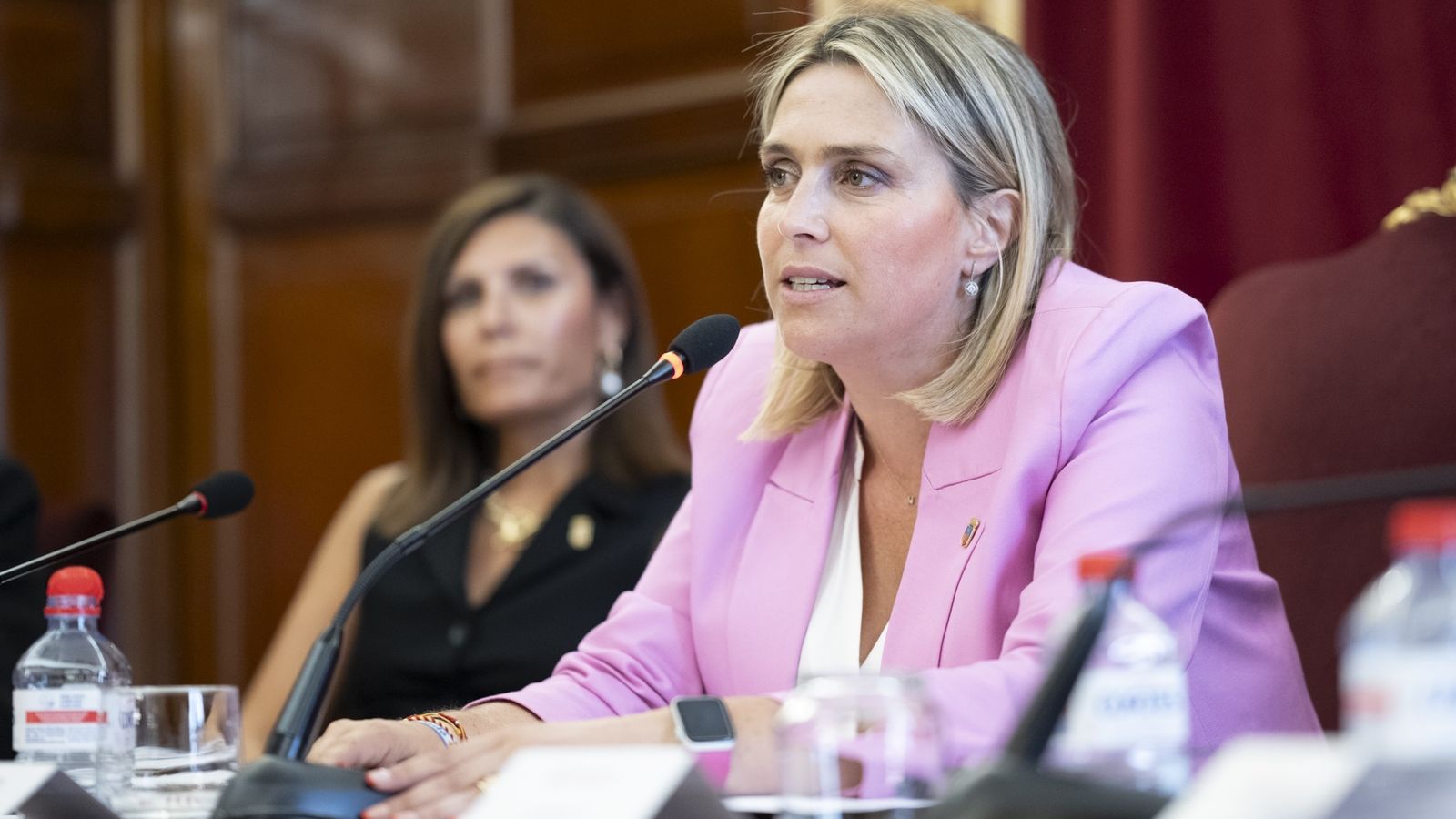 Marta Barrachina, presidenta de la Diputació de Castelló