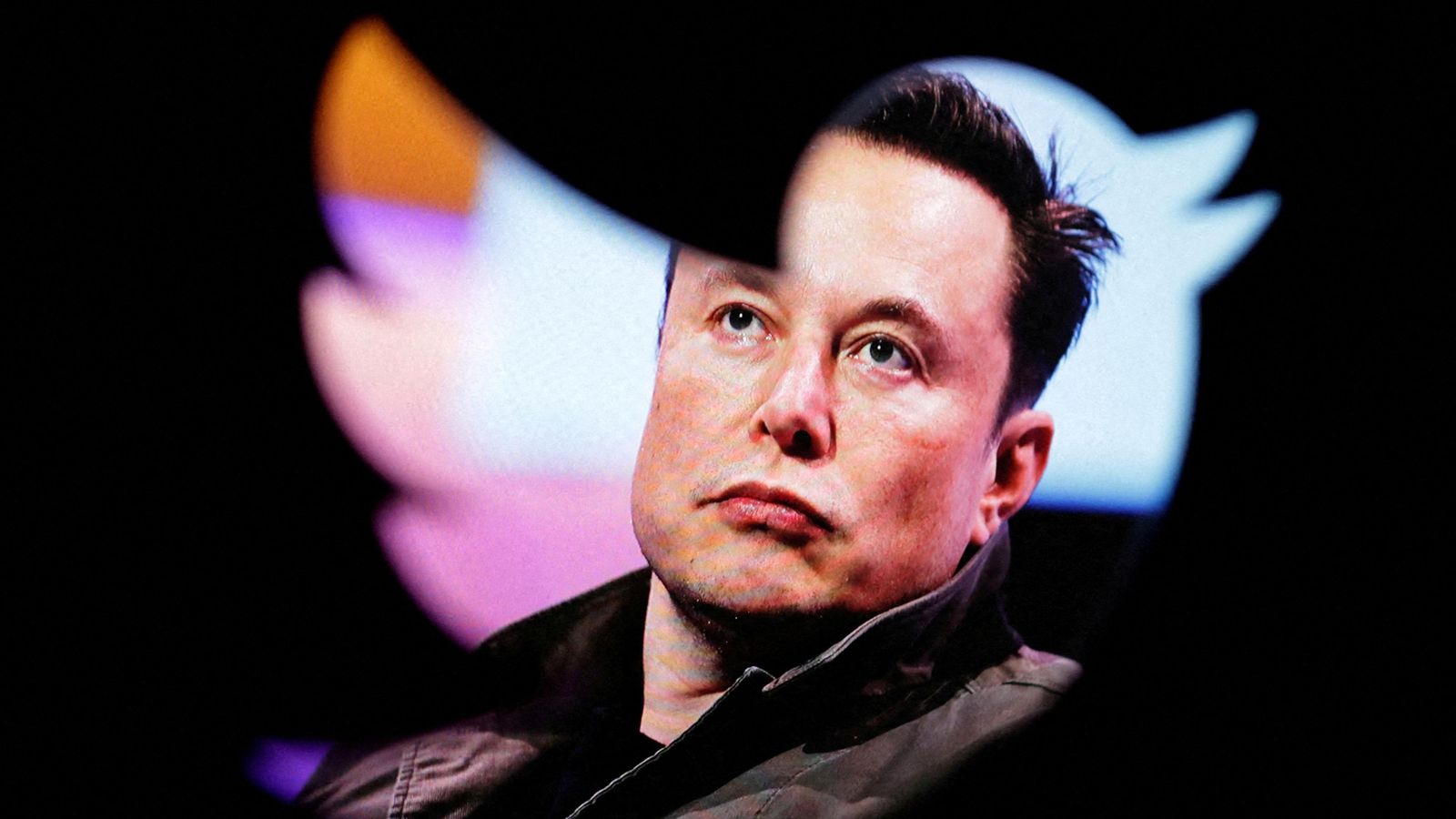 Muntatge d'una fotografia d'Elon Musk vista a través del logo de Twitter