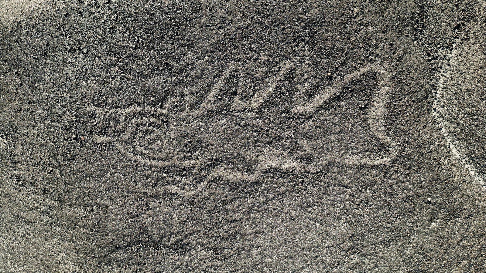 Fotografia per satèl·lit d'un dels nous geòglifs trobats a Nazca