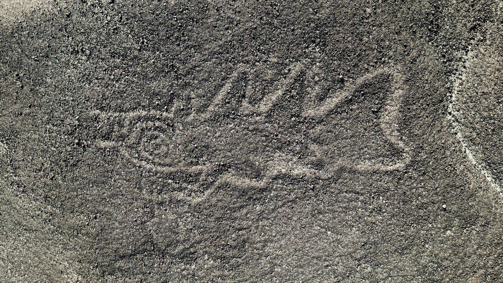 Fotografia per satèl·lit d'un dels nous geòglifs trobats a Nazca Fotografia per satèl·lit d'un dels nous geòglifs trobats a Nazca