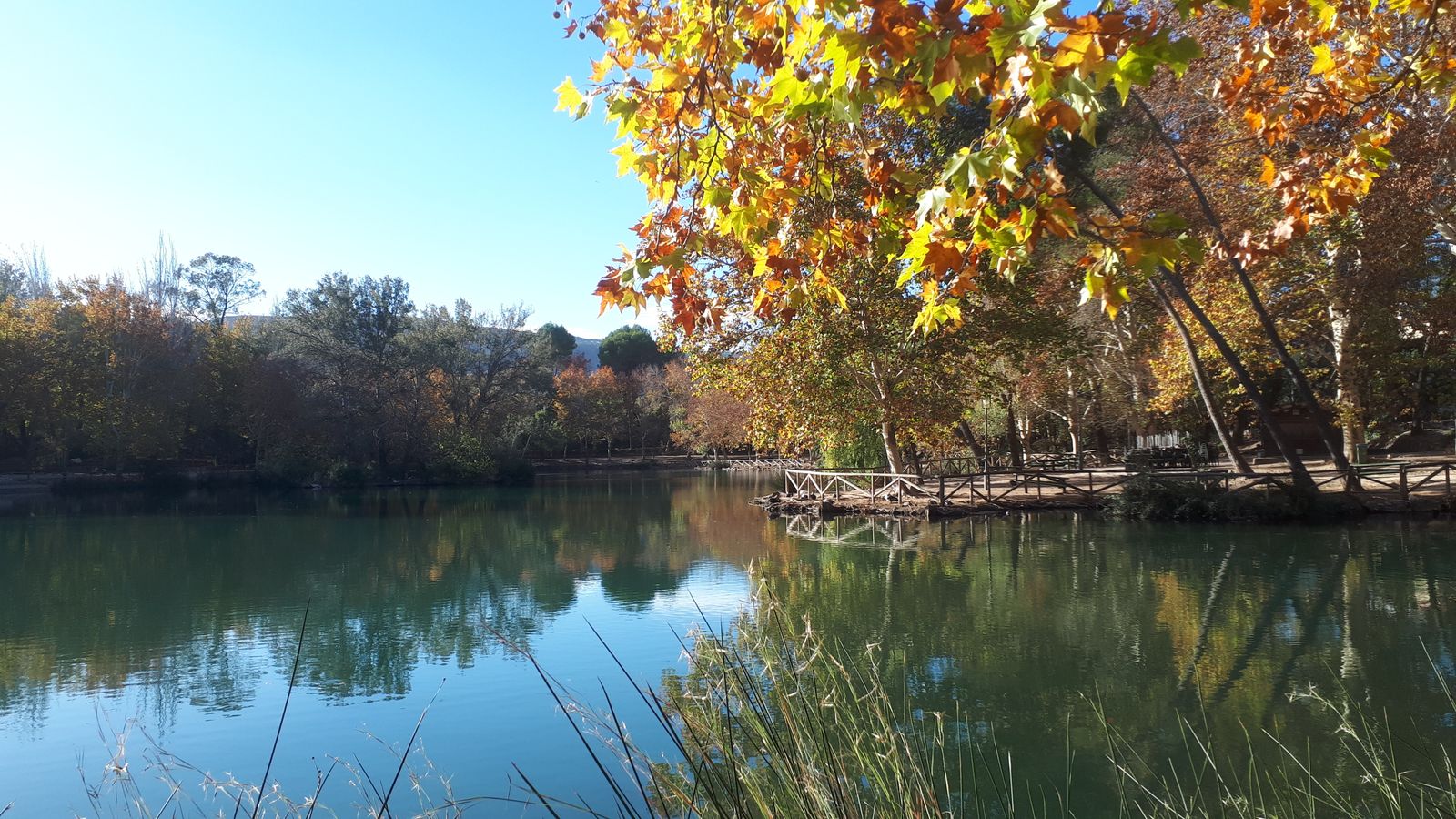 L'ALBUFERA D'ANNA
