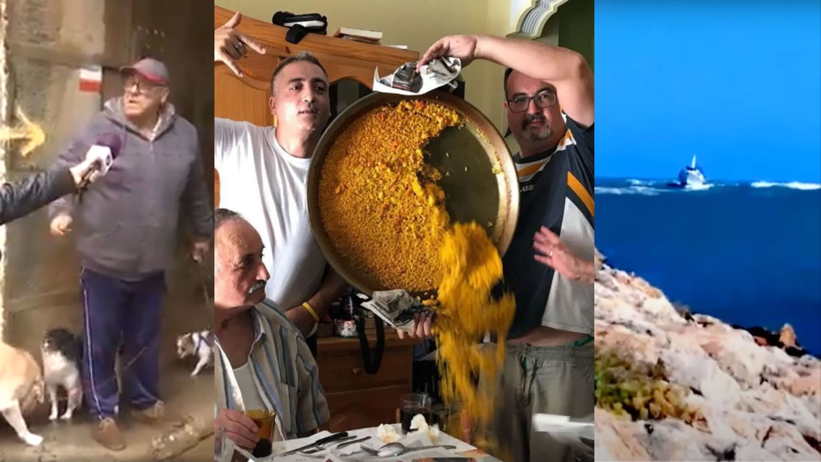 Algunes de les imatges que més mems valencians han inspirat