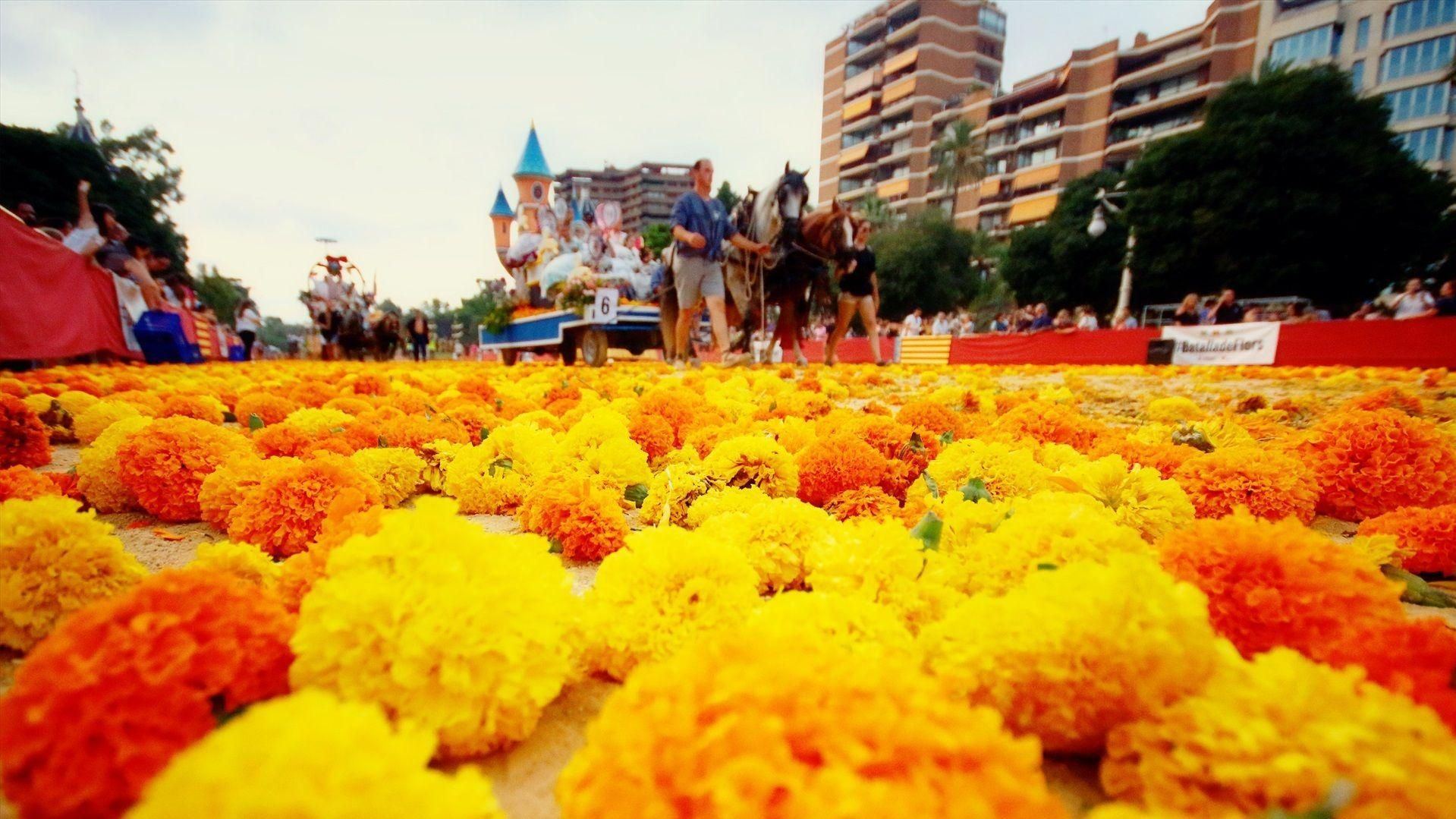 Imatge d'arxiu de la batalla de les flors