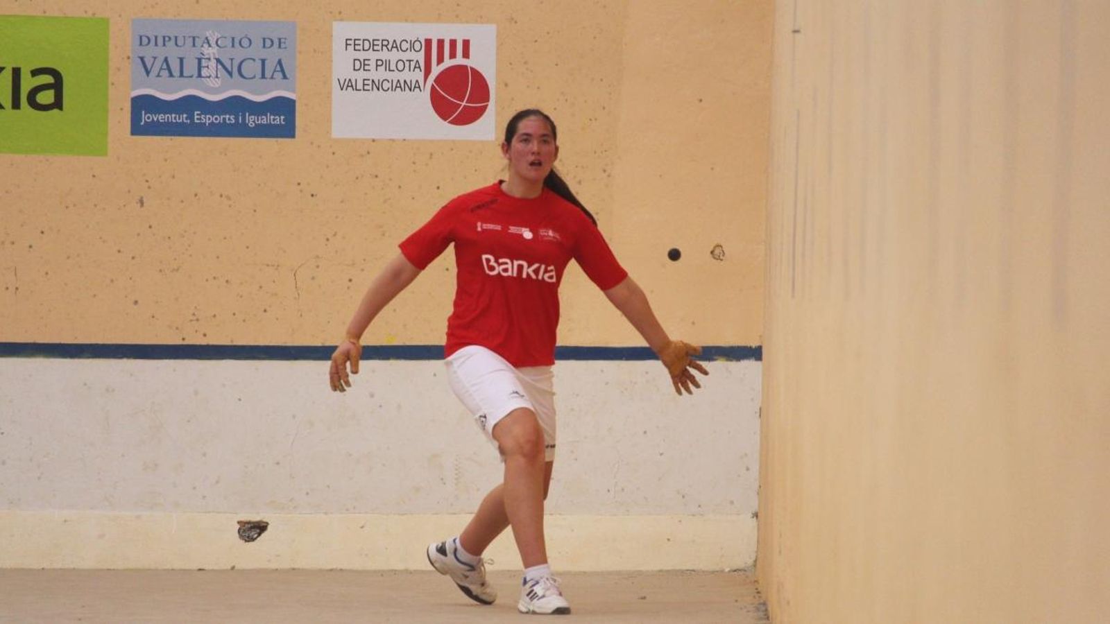 Erika, l'Alqueria d'Asnar