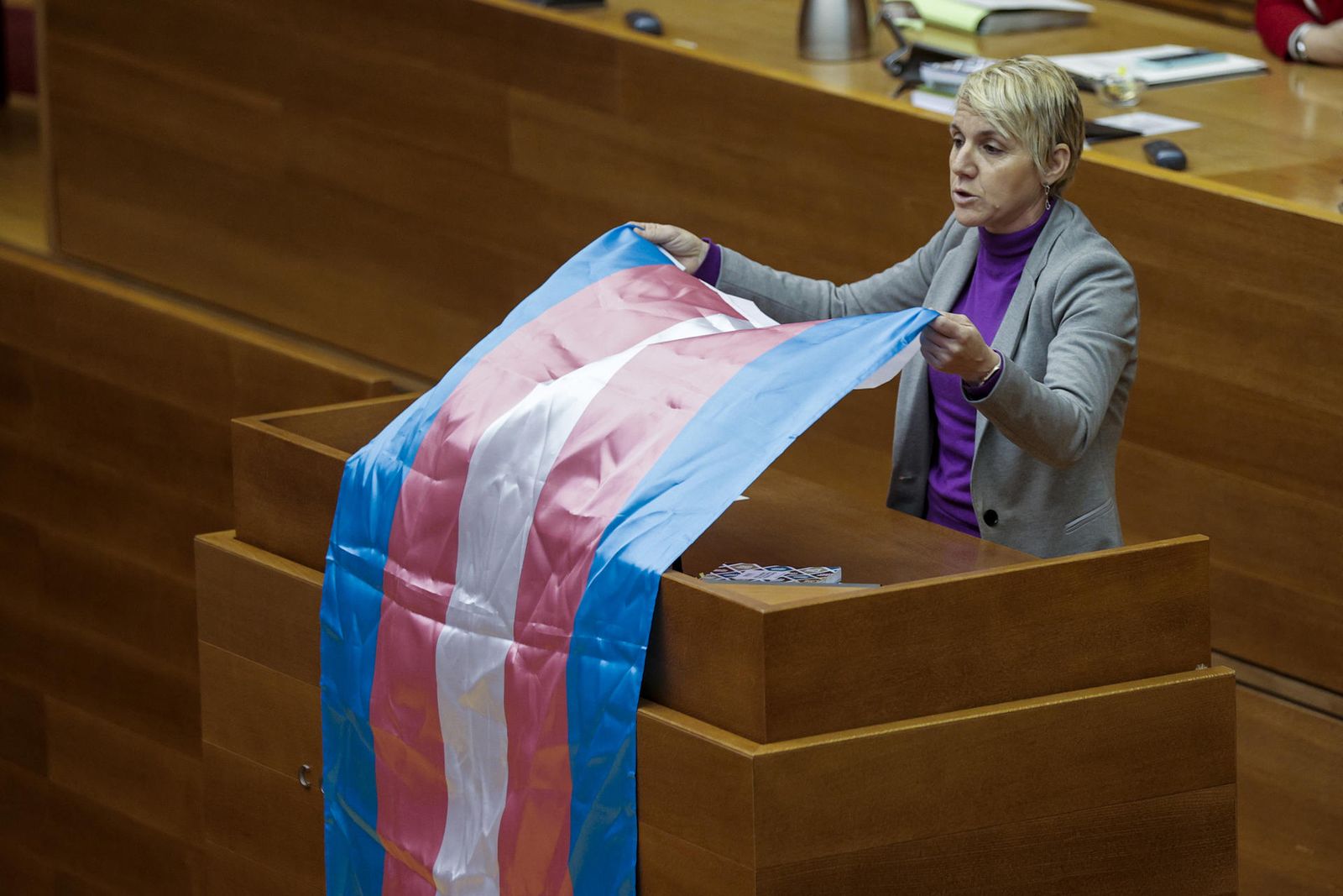 La síndica de Compromís, Papi Robles, exhibeix la bandera trans a les Corts
