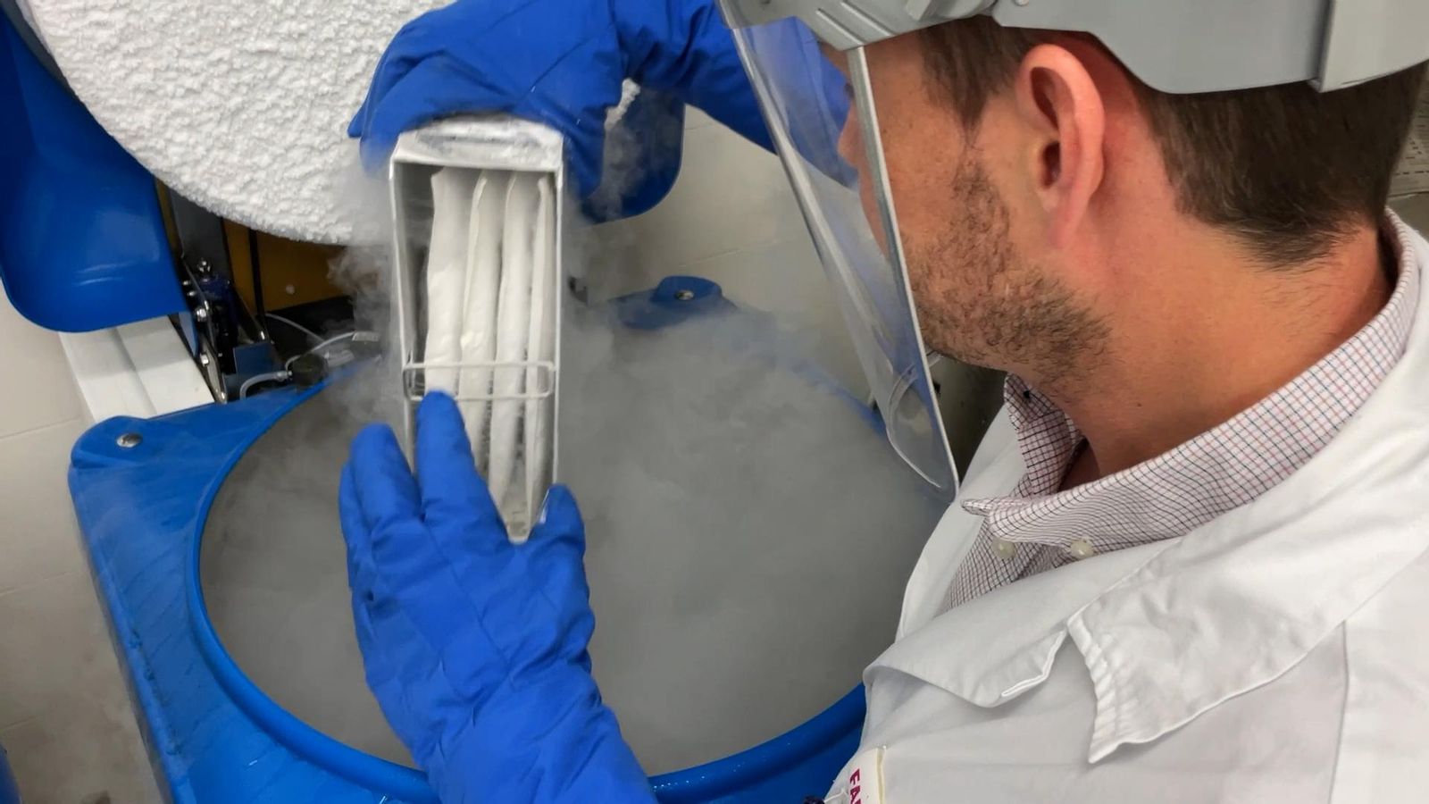 La Fe incorpora un nou tractament amb cèl·lules CAR-T