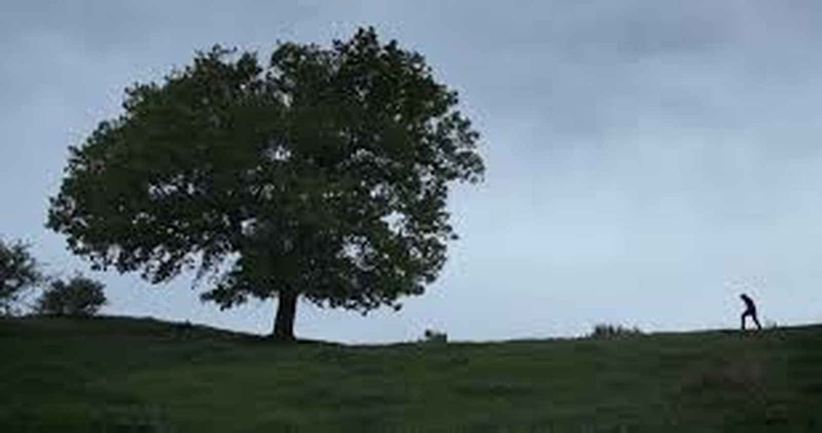 El Santo, millor curtmetratge documental