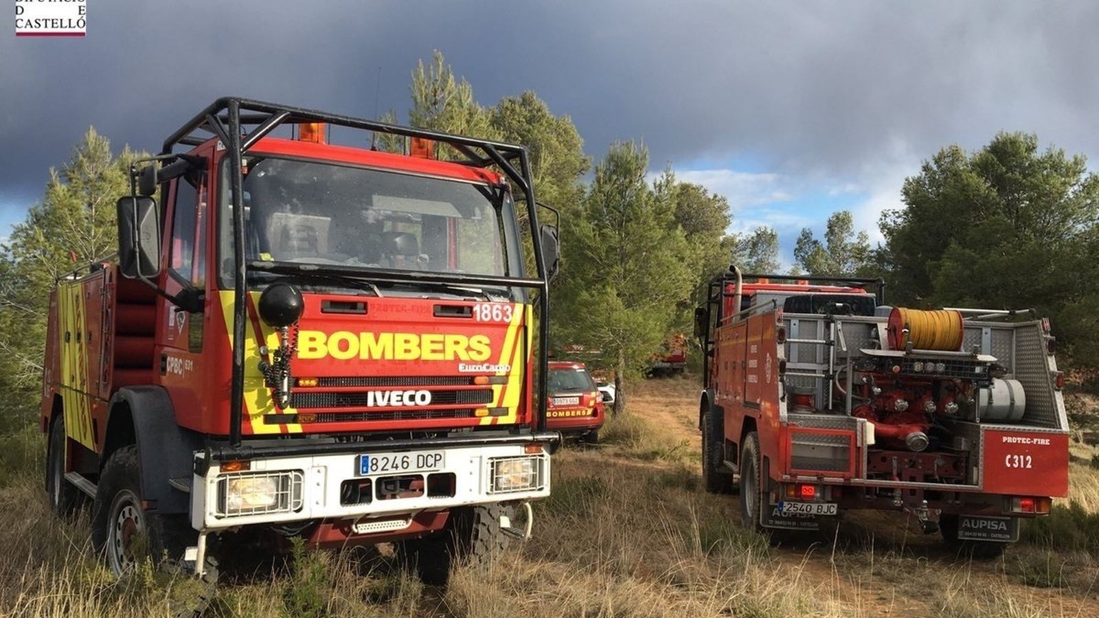 Efectius del Consorci de Bombers de Castelló