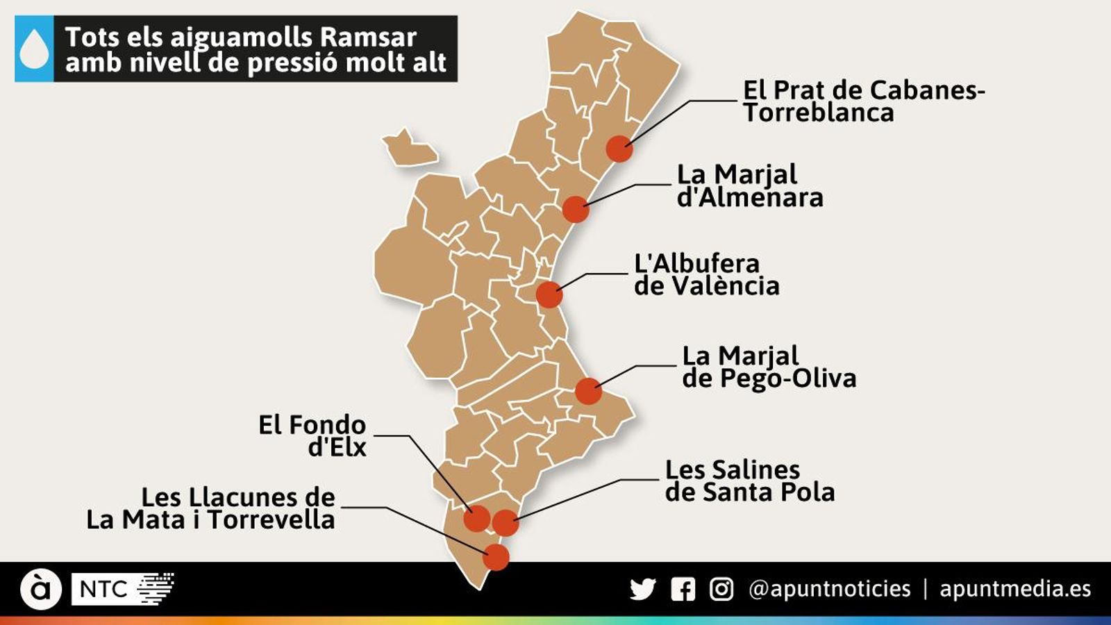 El 2 de febrer es celebra el  Dia Mundial dels Aiguamolls