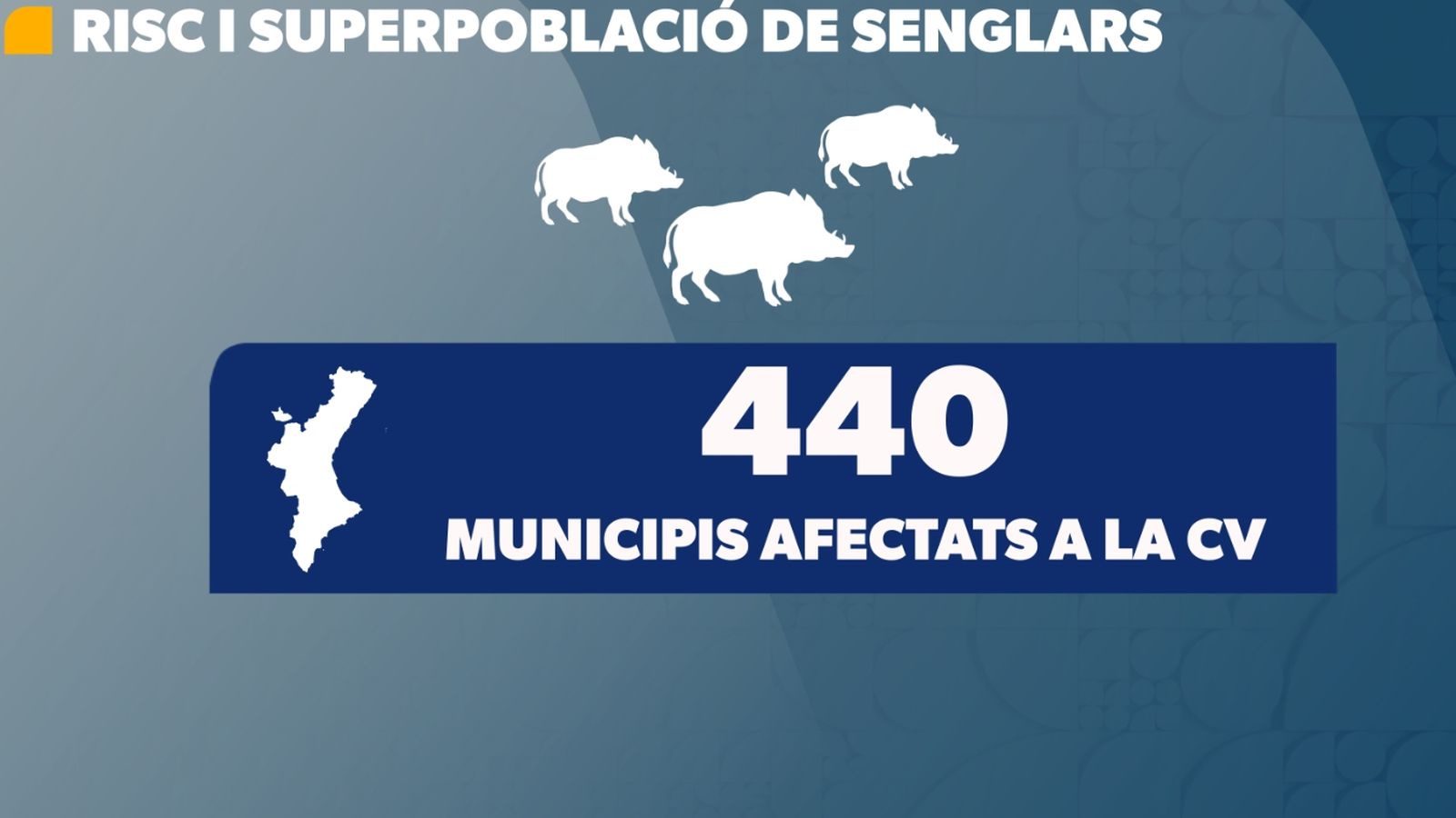 Risc i superpoblació de porcs senglars a la Comunitat Valenciana