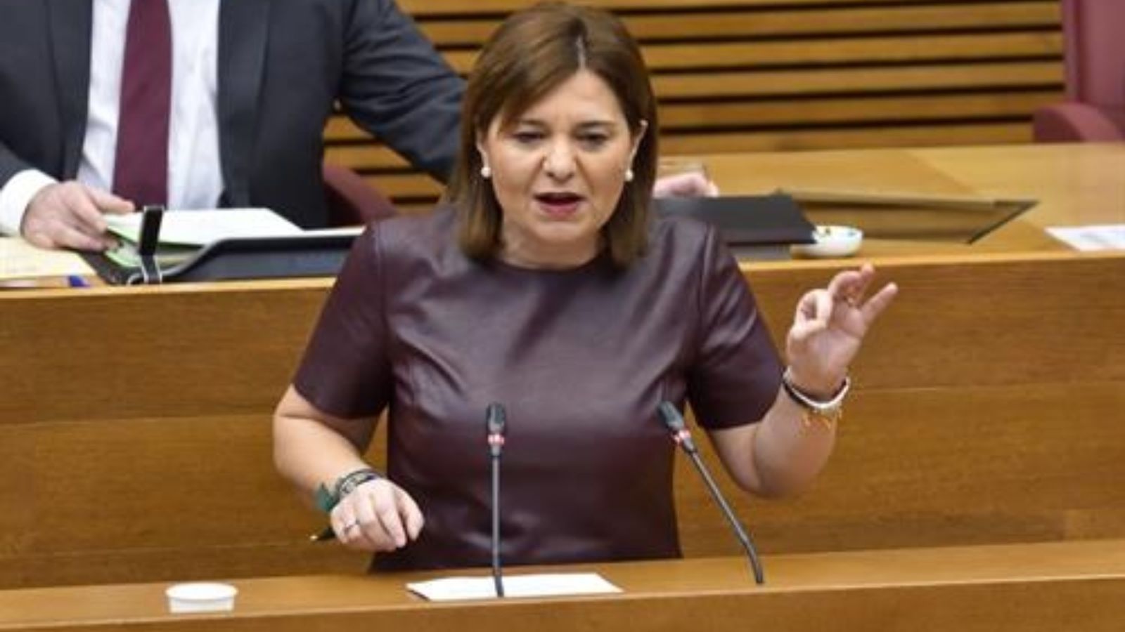 La presidenta del PPCV, Isabel Bonig