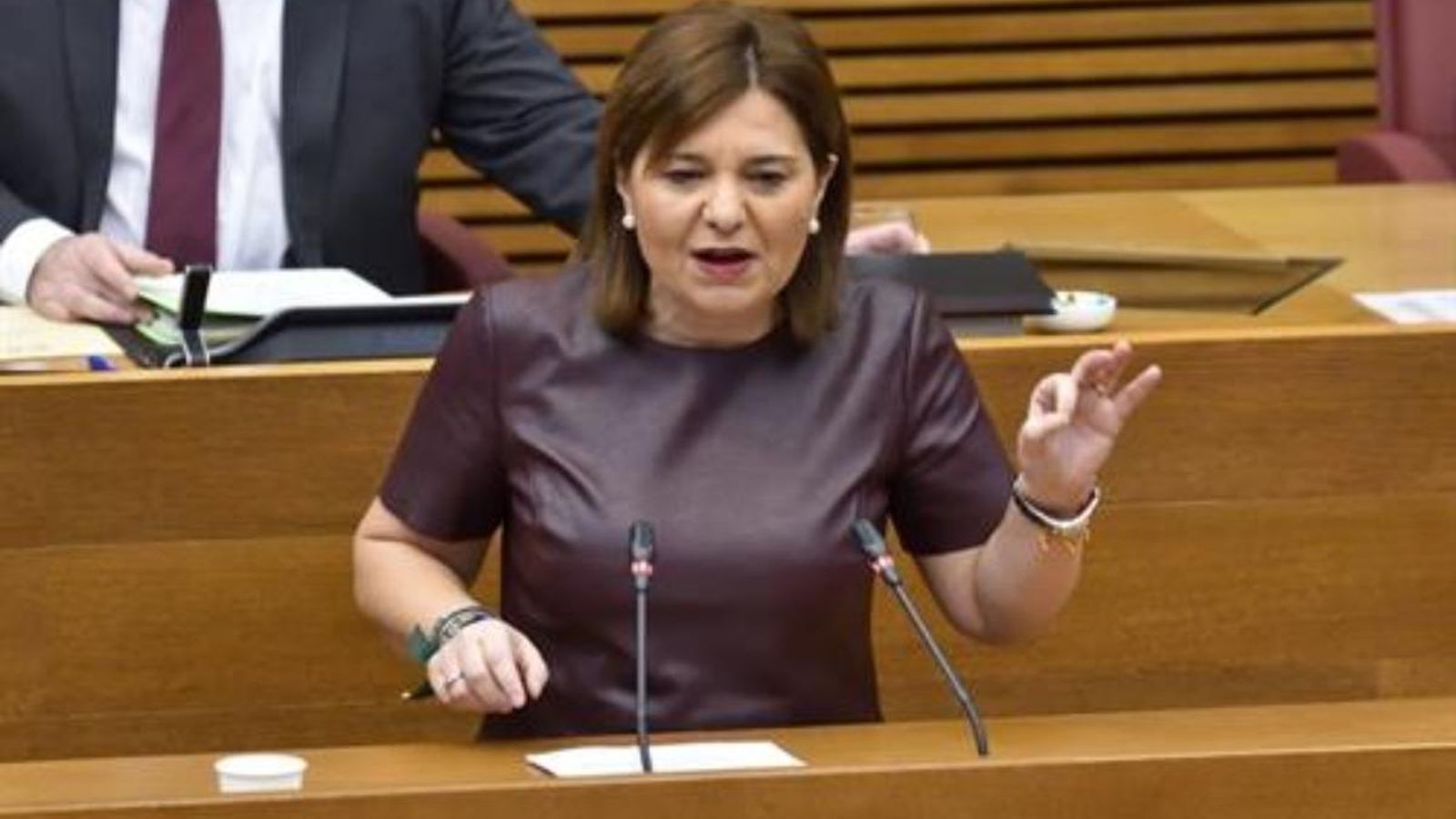 La presidenta del PPCV, Isabel Bonig