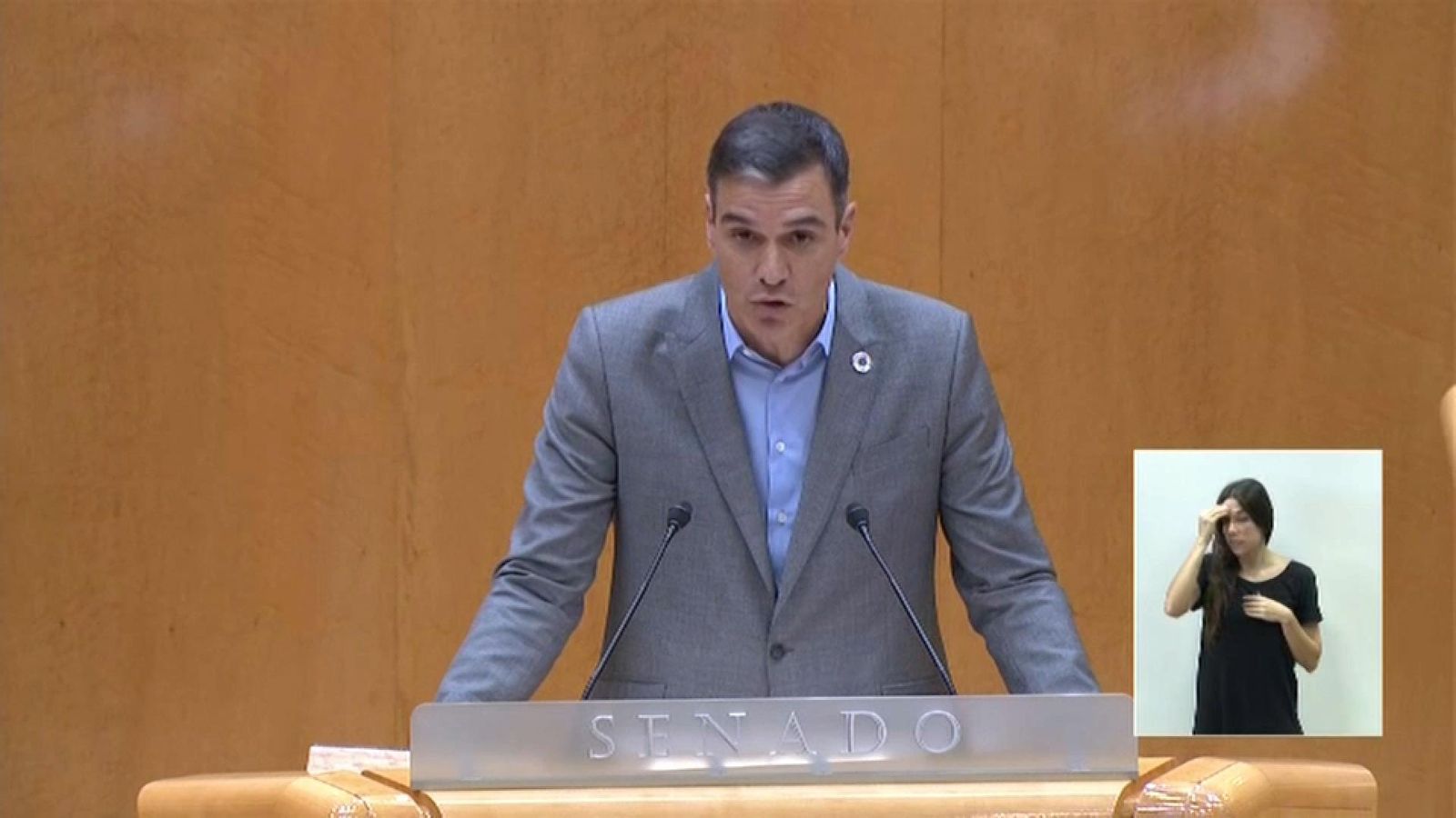 Sánchez, aquest dimarts al Senat