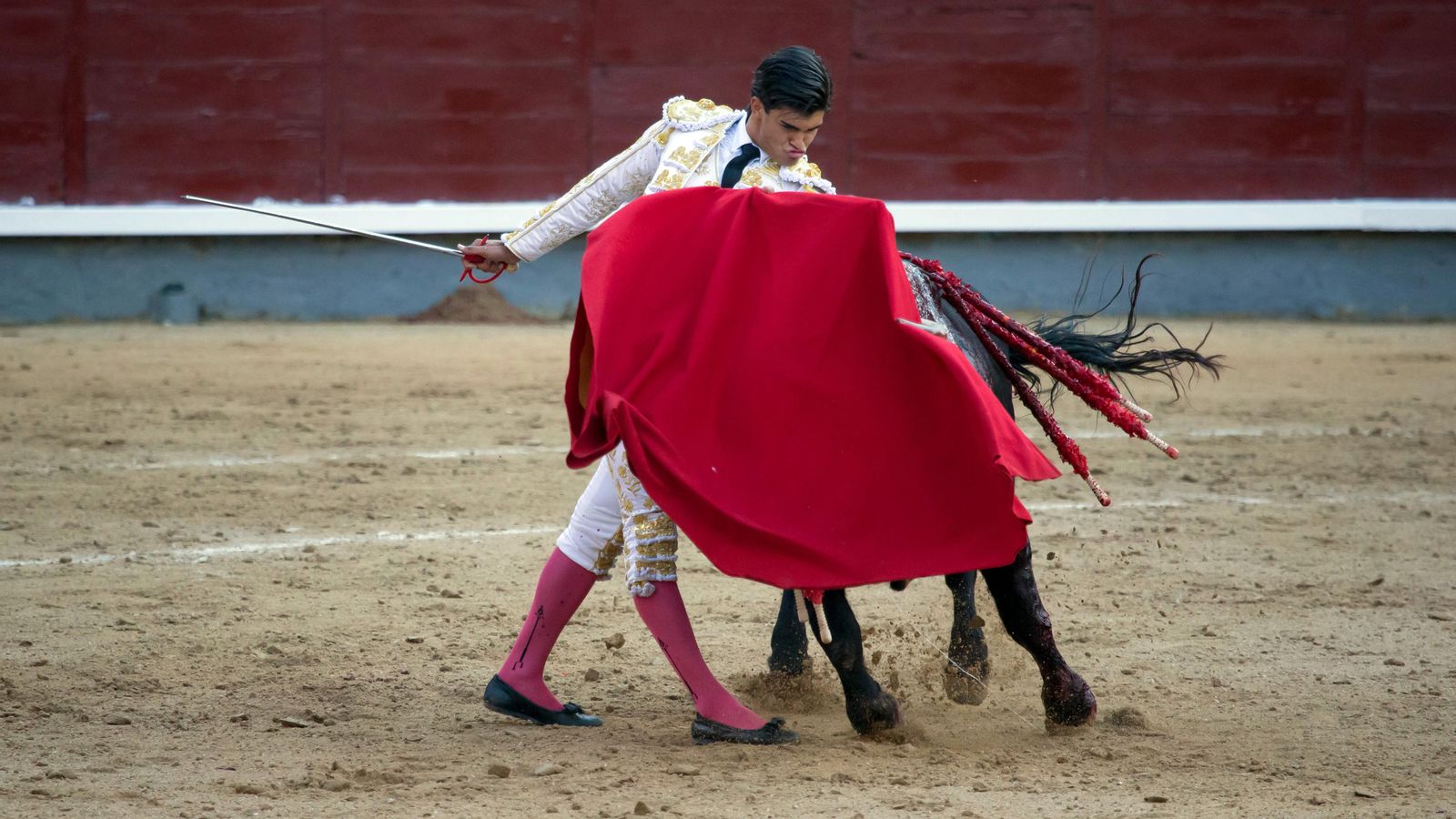 Imatge d'arxiu del torero Francisco Manuel