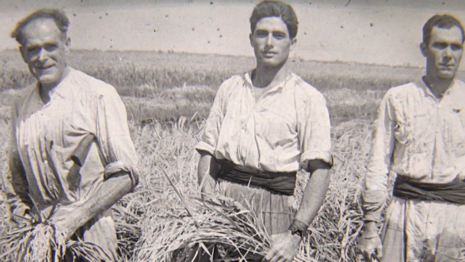 Elies Siscar, l'arrosser de Pego que va créixer en un camp d'arròs i allí continua