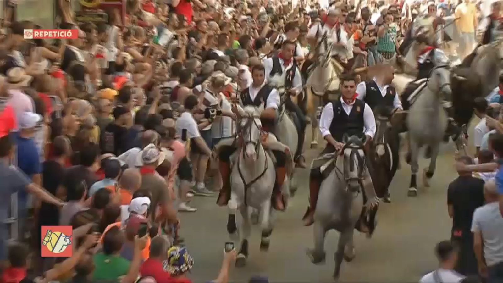 09.09.2023 | Entrada de Bous i Cavalls de Sogorb