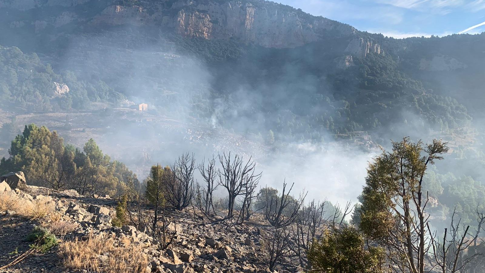 Incendi forestal a Xodos