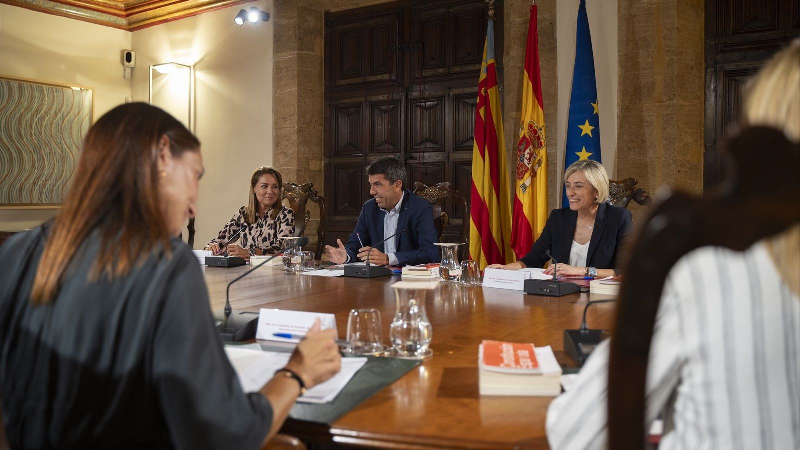 Reunió del ple del Consell (arxiu)