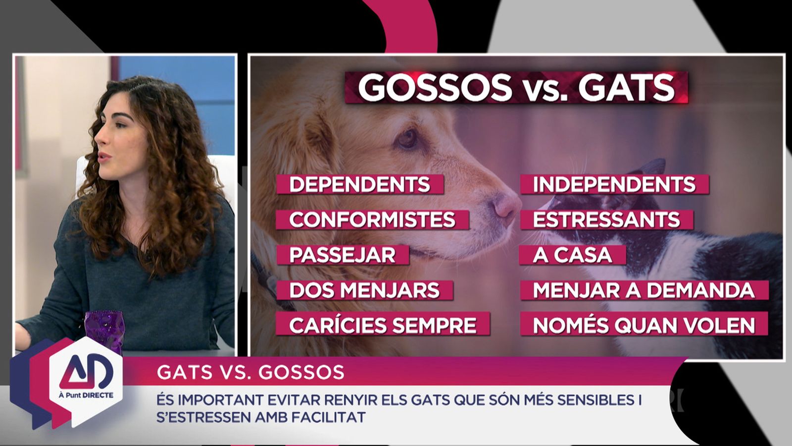Gats vs. gossos