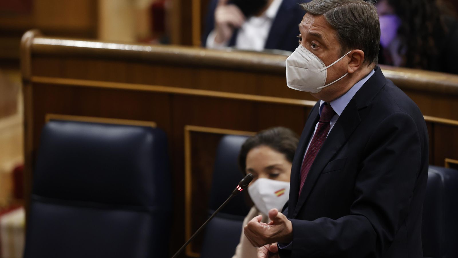 El ministre d'Agricultura, Pesca i Alimentació, Luis Planas, intervé aquest dimecres en el Congrés dels Diputats