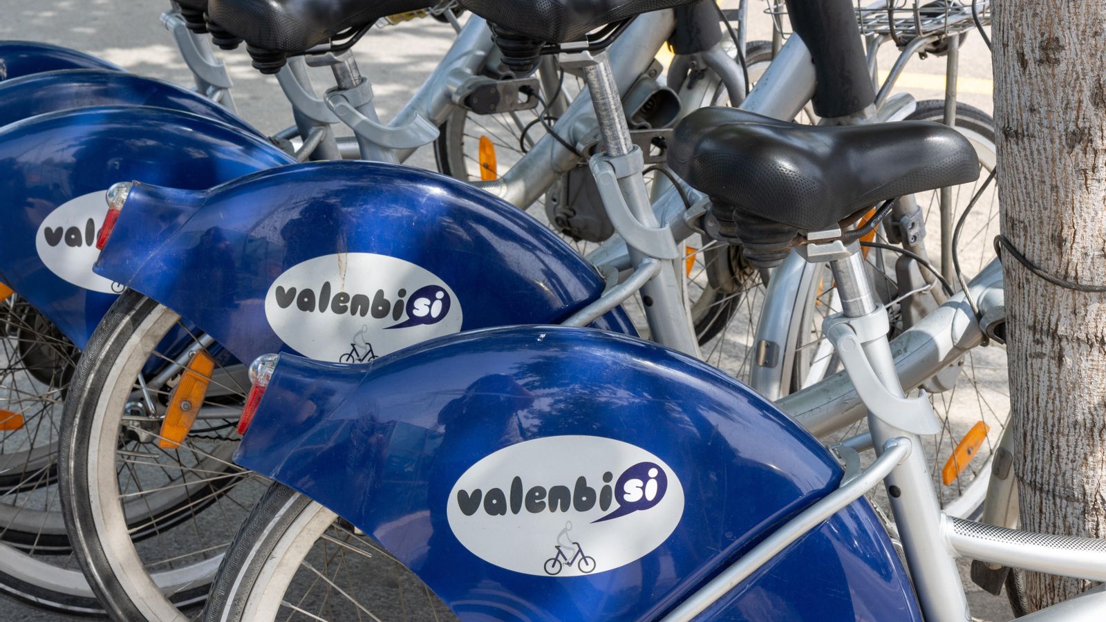 Bicicletes de la xarxa pública Valenbisi, a la ciutat de València