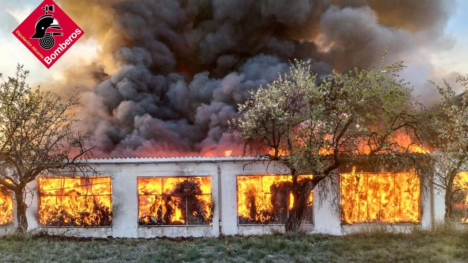 Incendi de Biar, este dijous per la vesprada