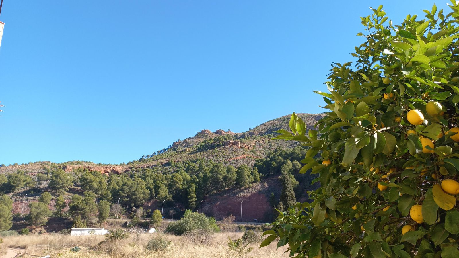 9.NÀQUERA, EL CAMP DE TÚRIA, EMILI ARNAL.jpg