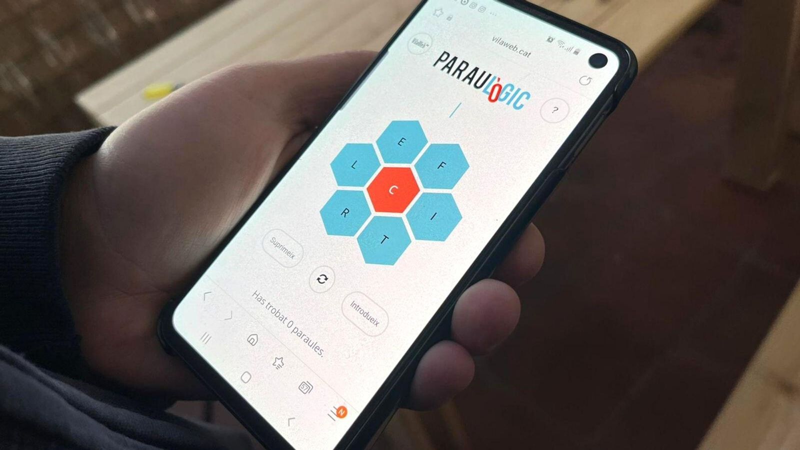 Paraulògic, una iniciativa de Rodamots