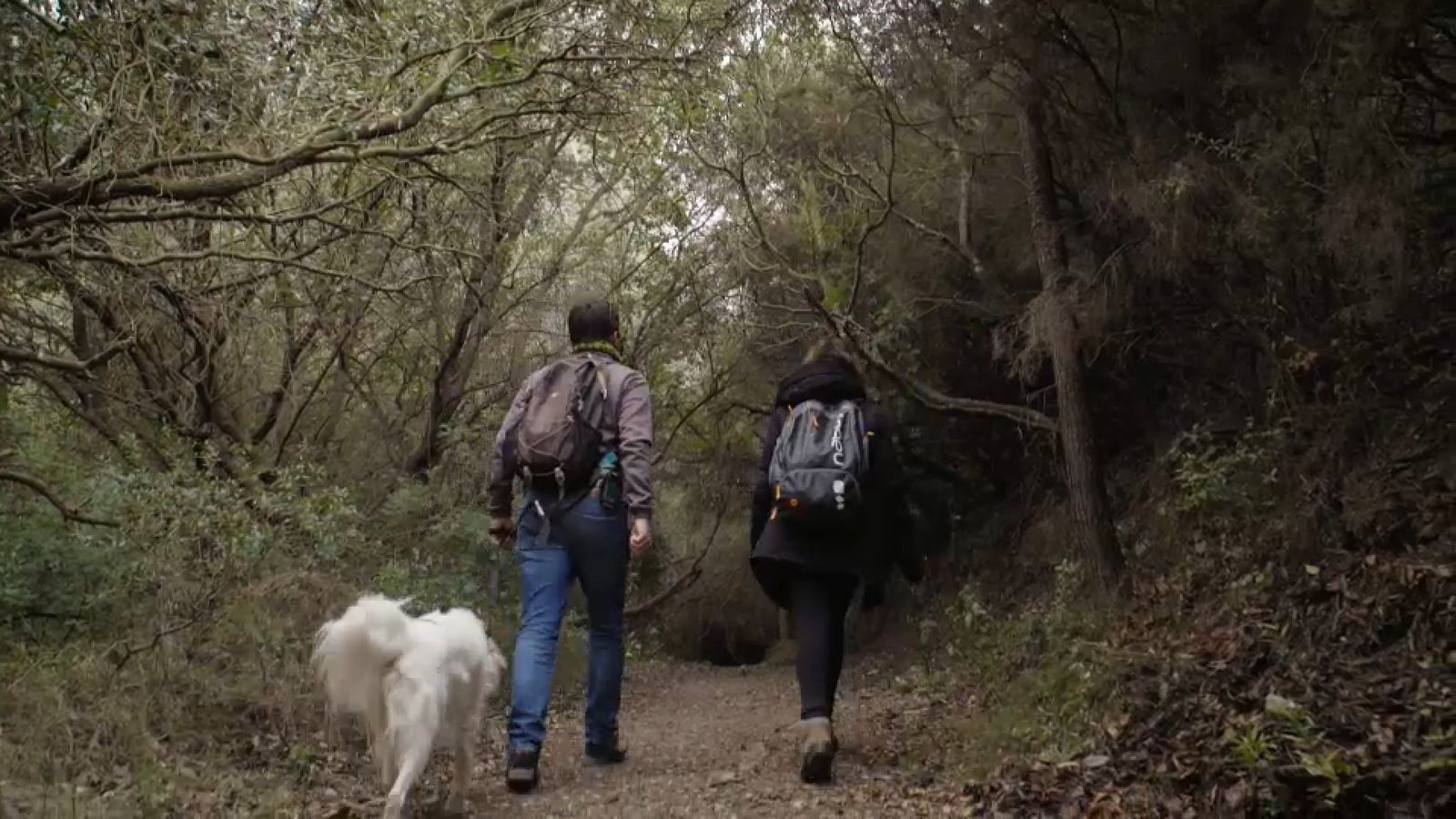 "Tunels en el temps que ens traslladen a temps passats"