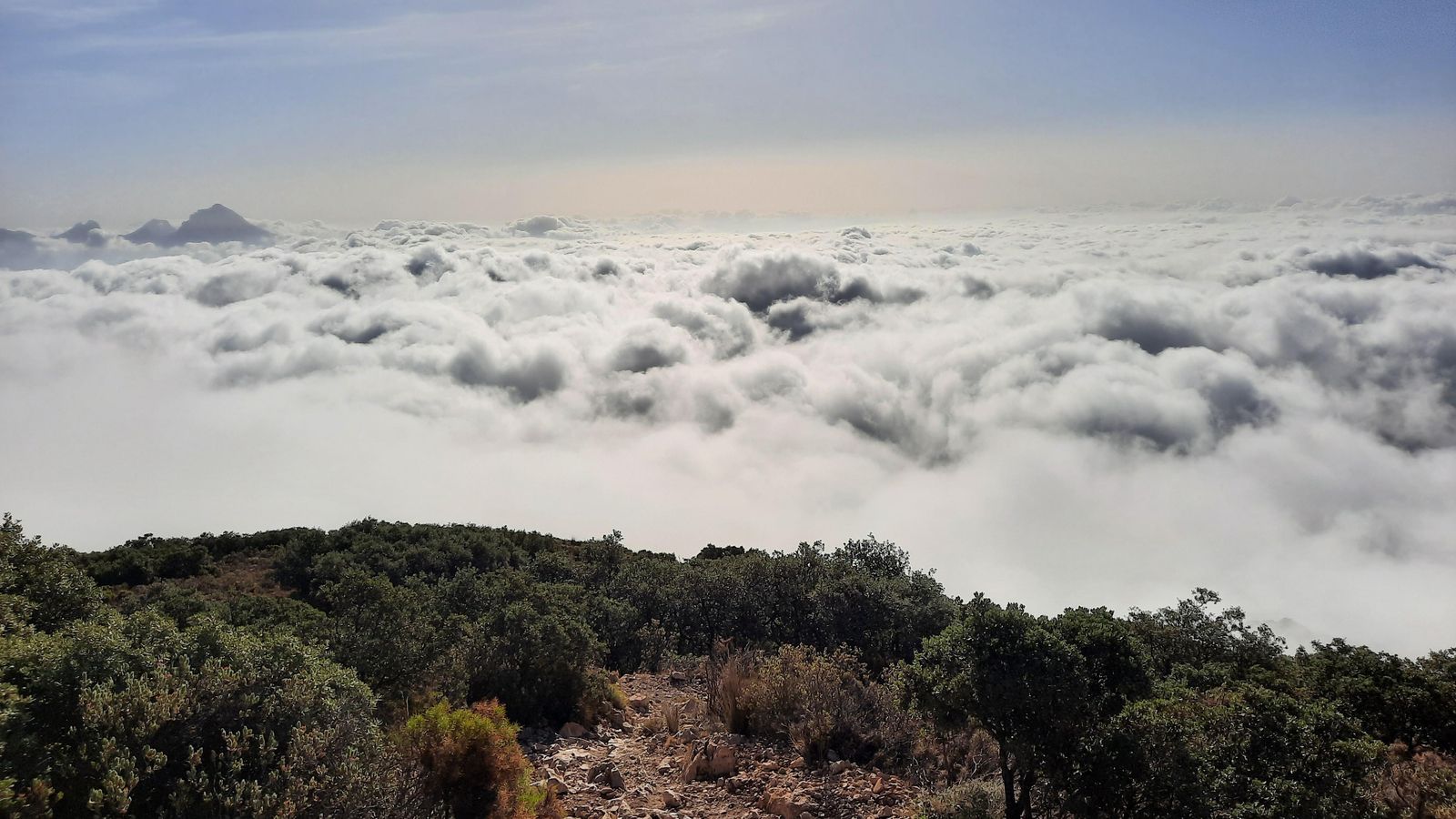 DES DEL CABEÇÓ D'OR