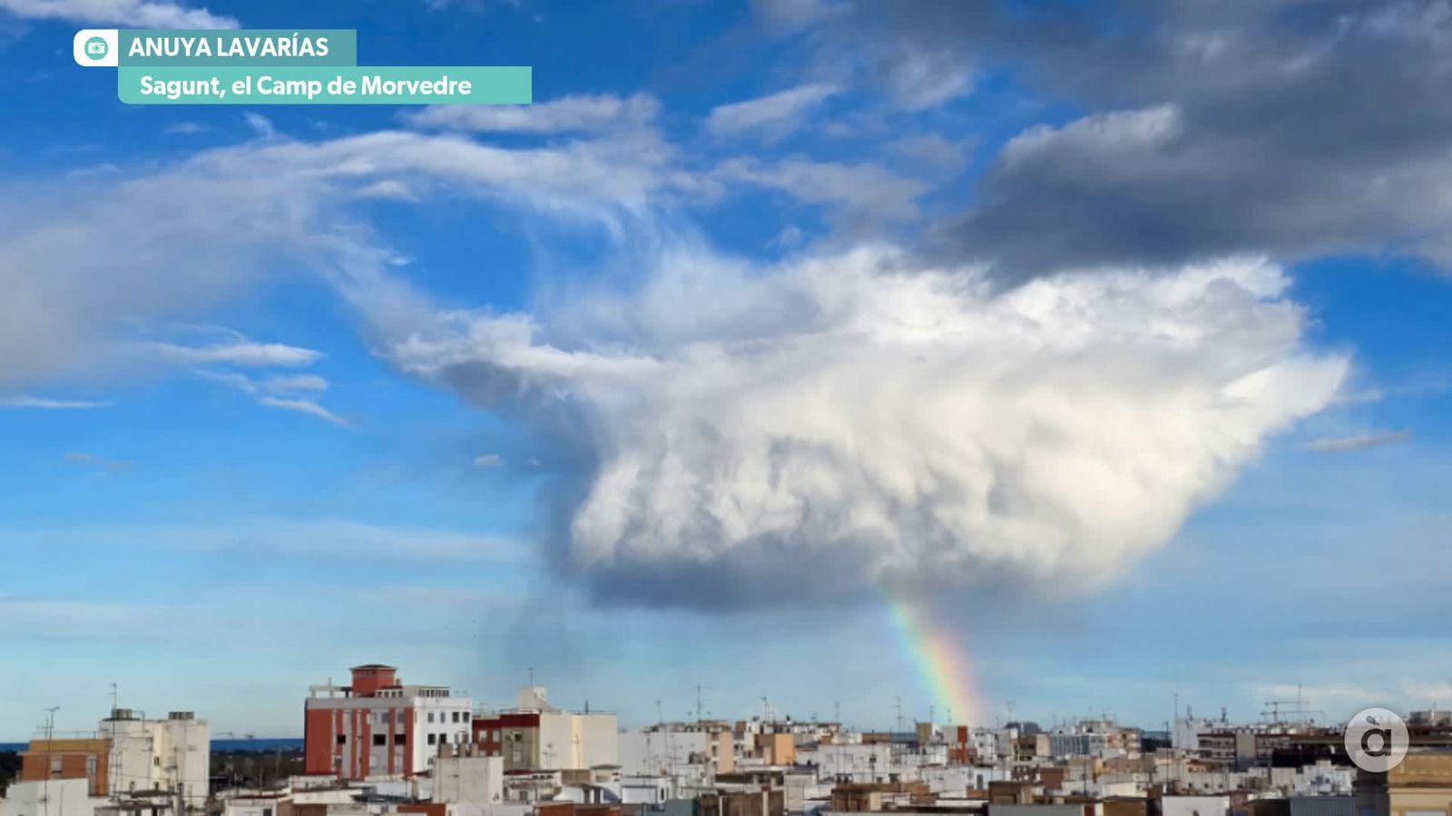 captura_2026-02-03 NIT_JAVI_F SAGUNT_WM