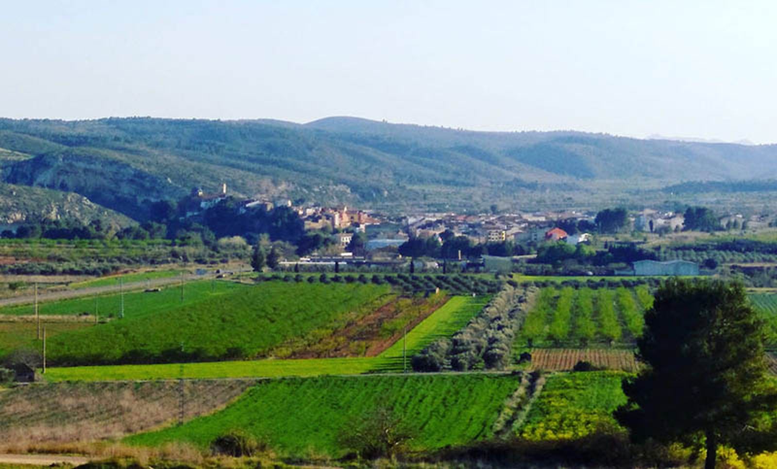 La zona d'implantació del projecte Magda inclou una de les àrees més fèrtils de les Coves de Vinromà