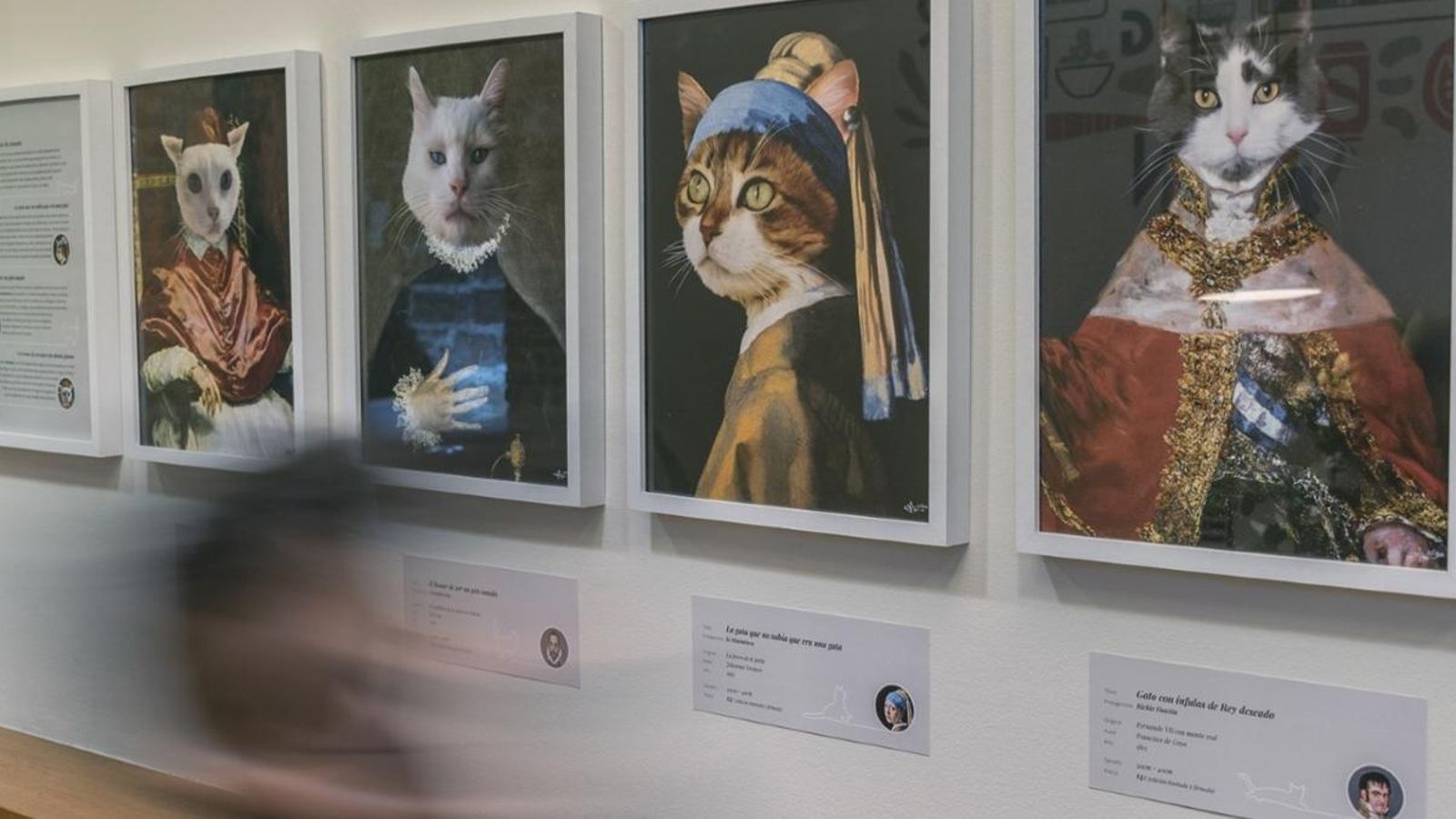 Part dels beneficis de la mostra aniran a Santuario Vegam, que rescata animals víctimes del maltractament