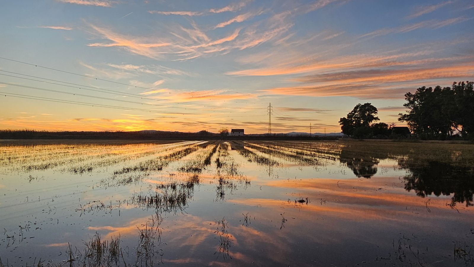 L'ALBUFERA, VALÈNCIA